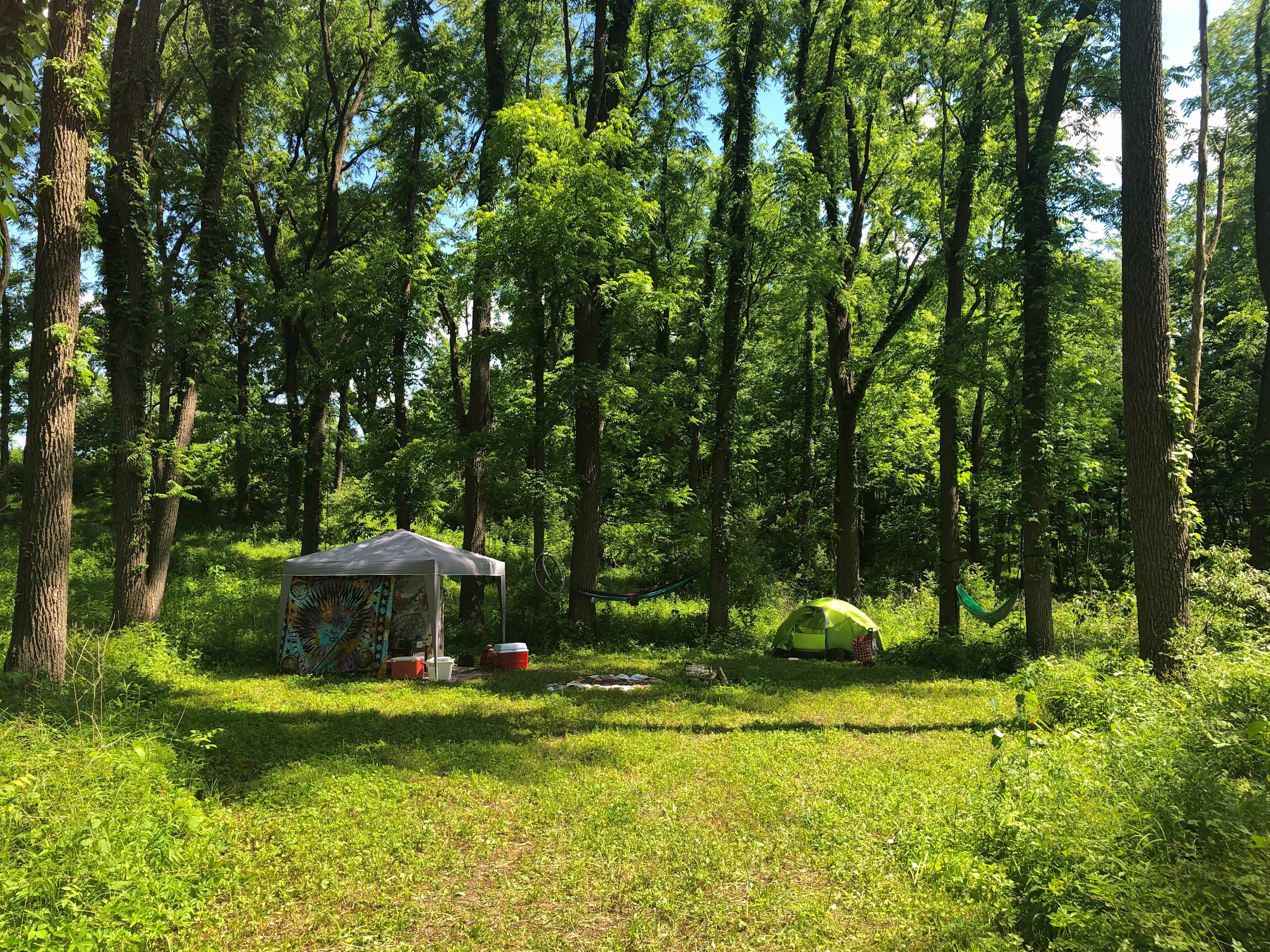 Picture of the site
