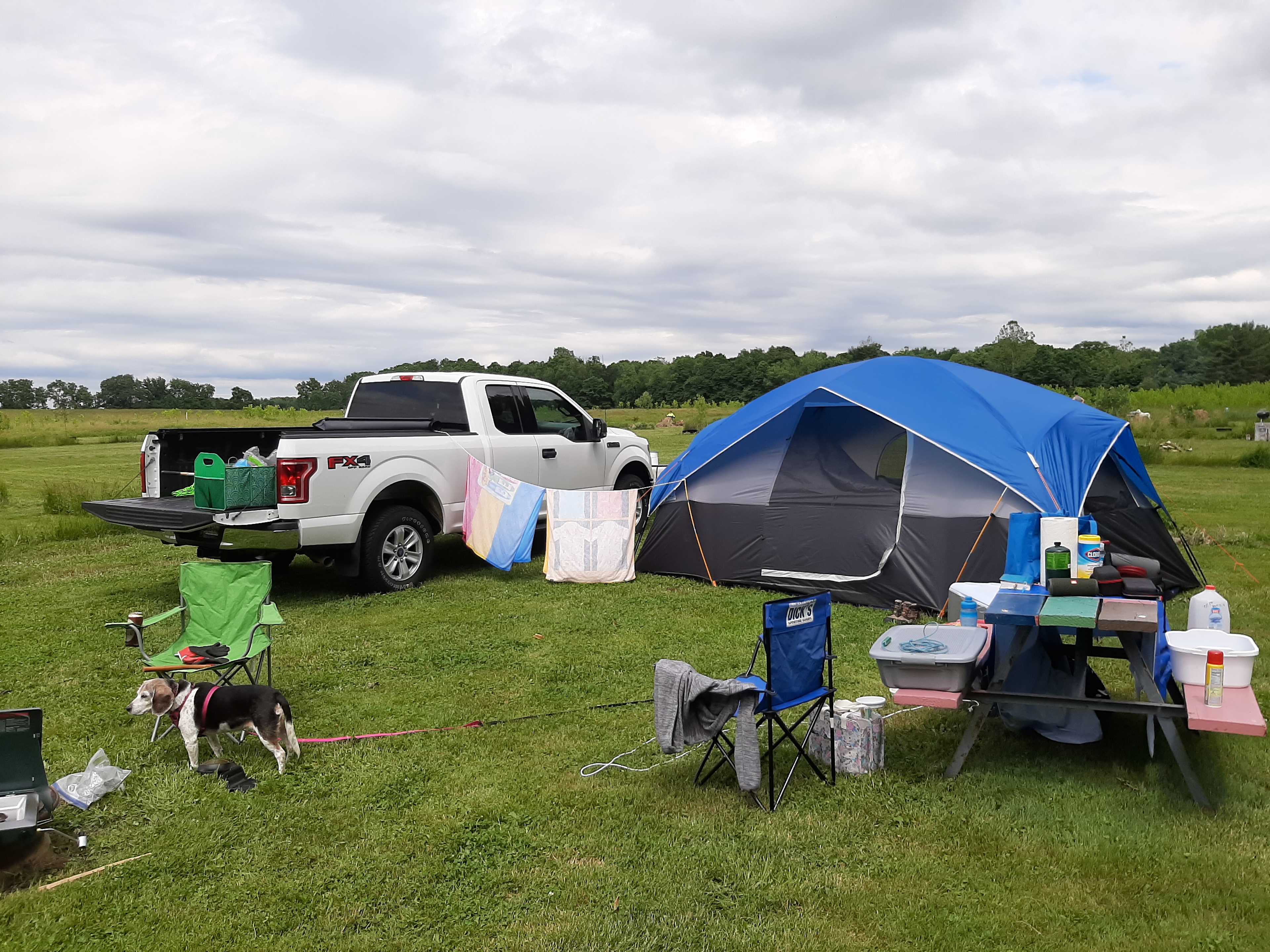 Site #5