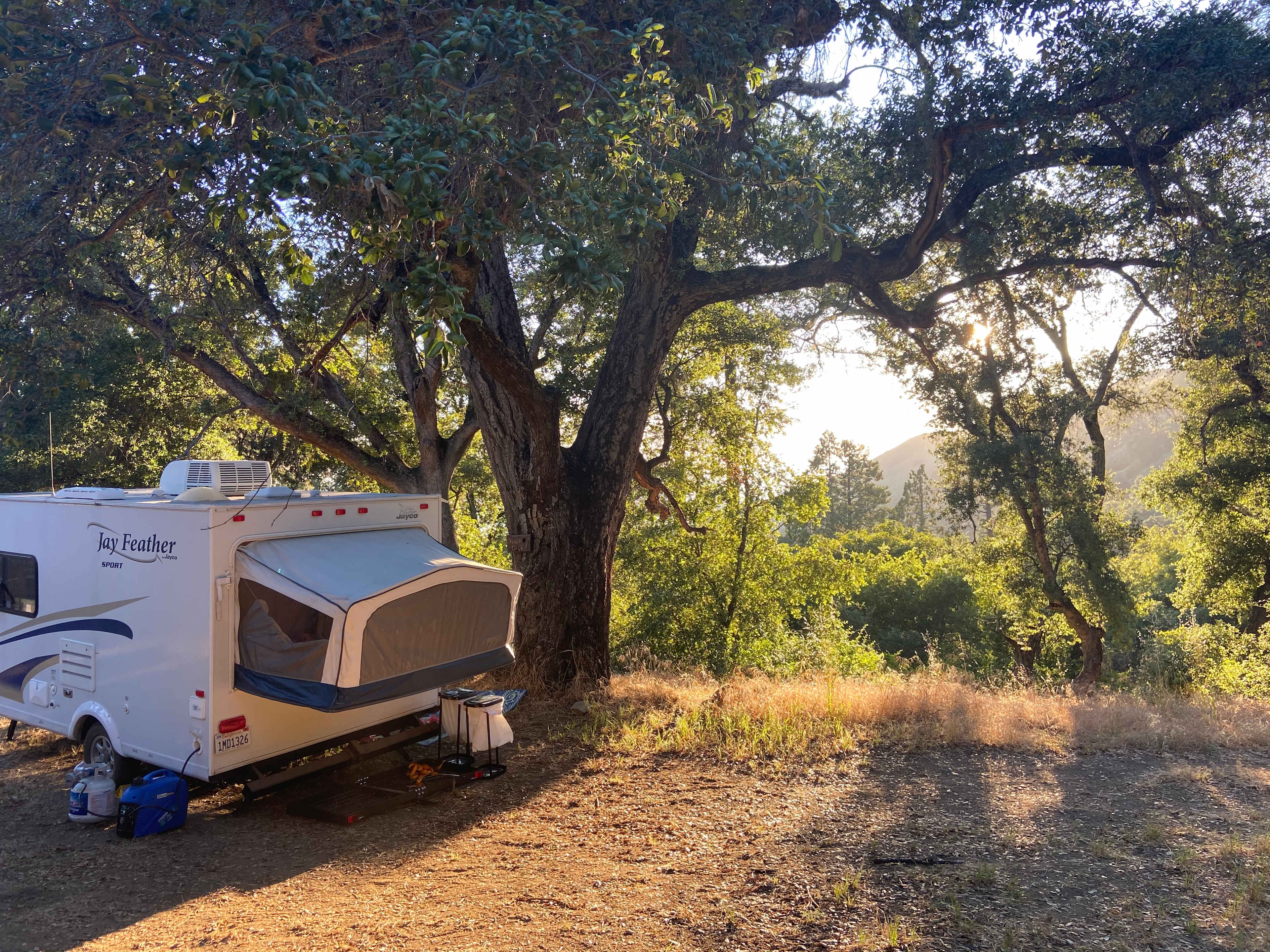 Magical Harrison Serenity Ranch