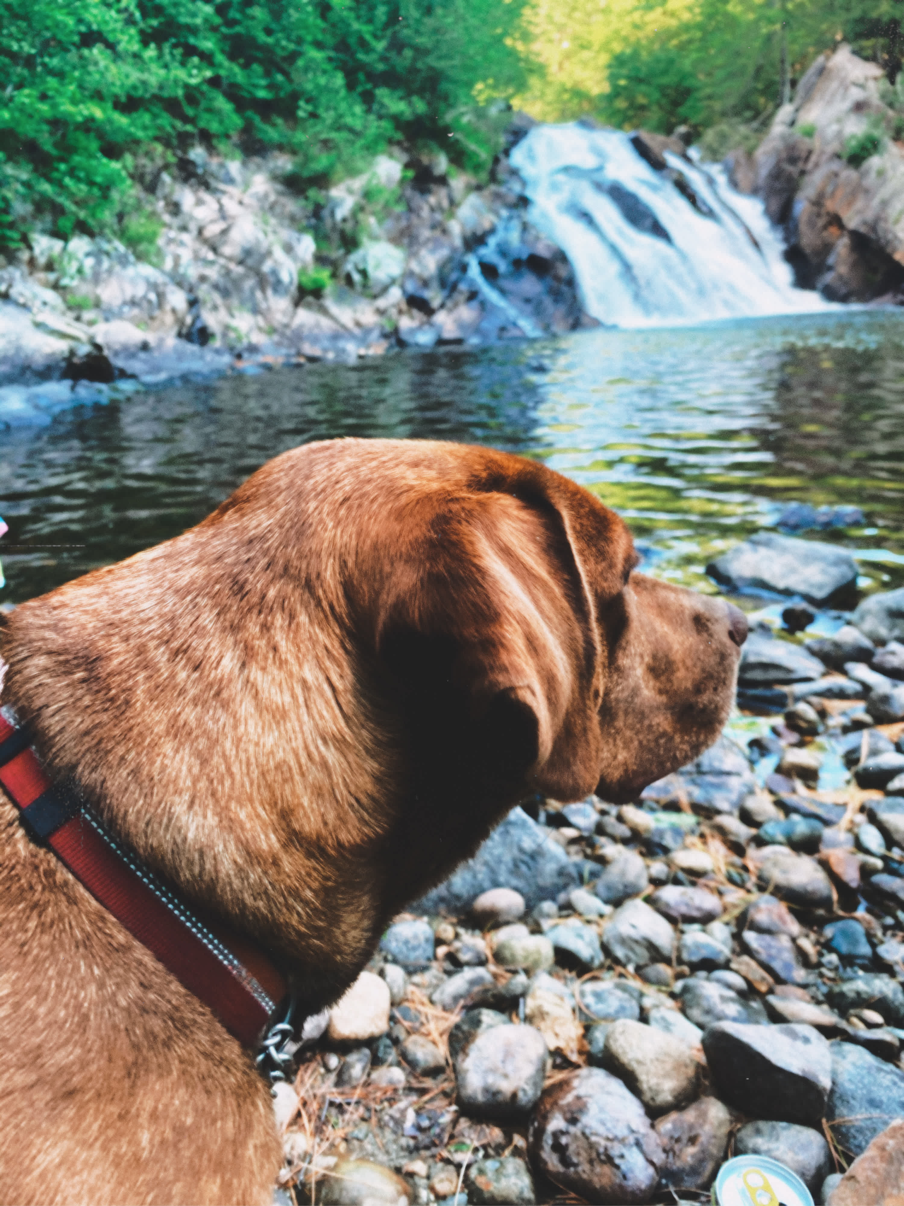 Waterfalls  Wild And Free