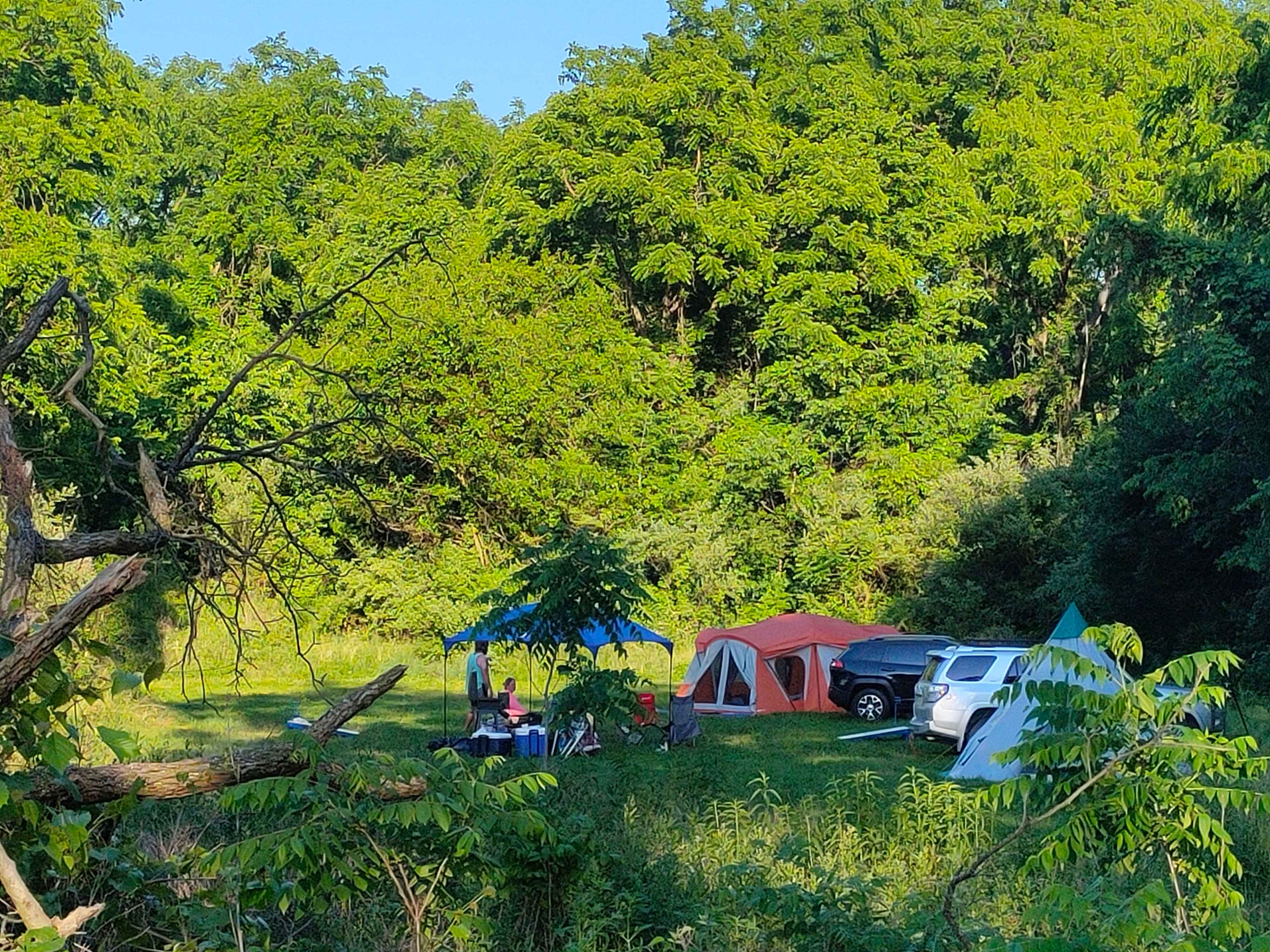 Picture of the site
