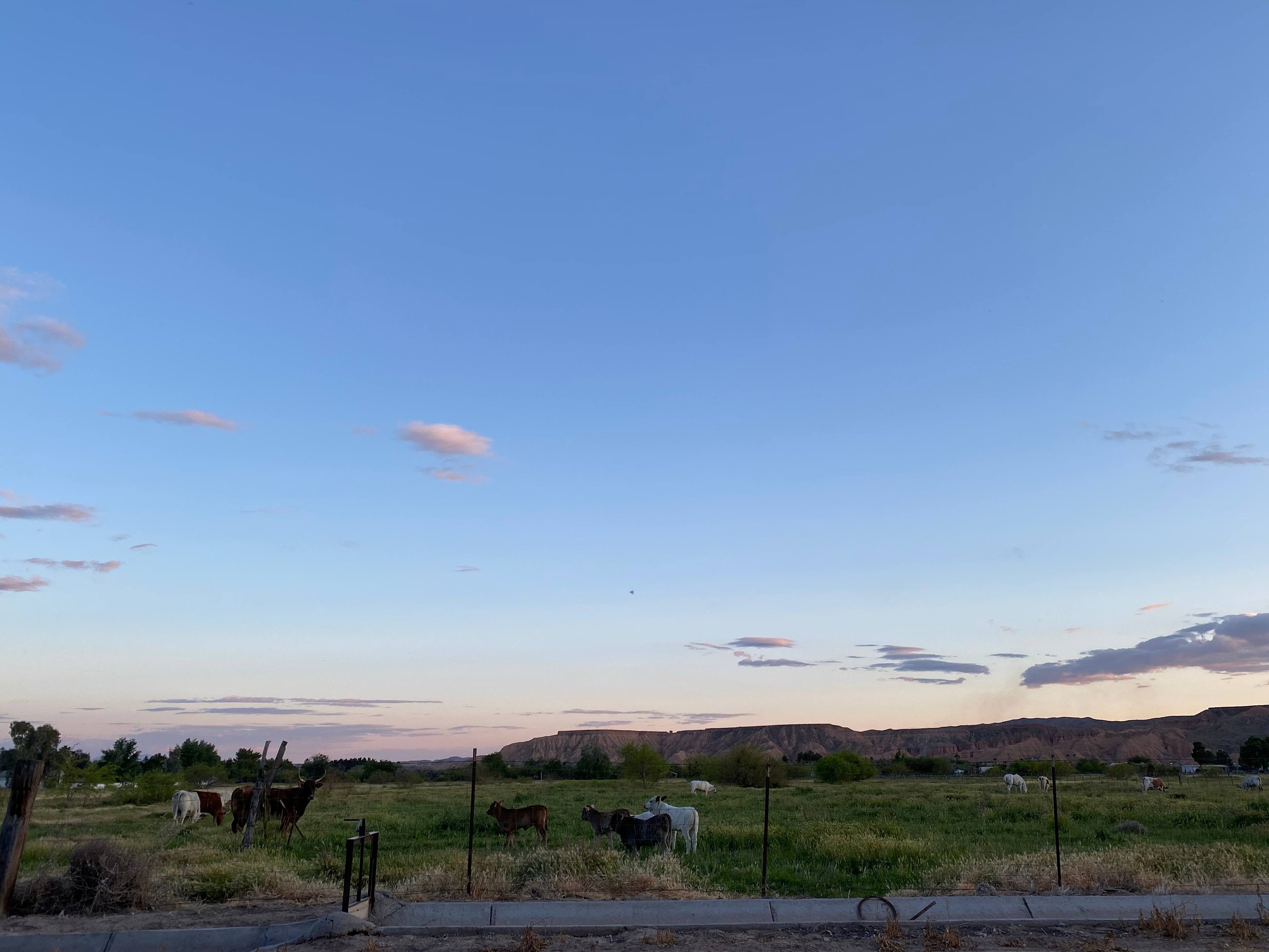 View from campsite