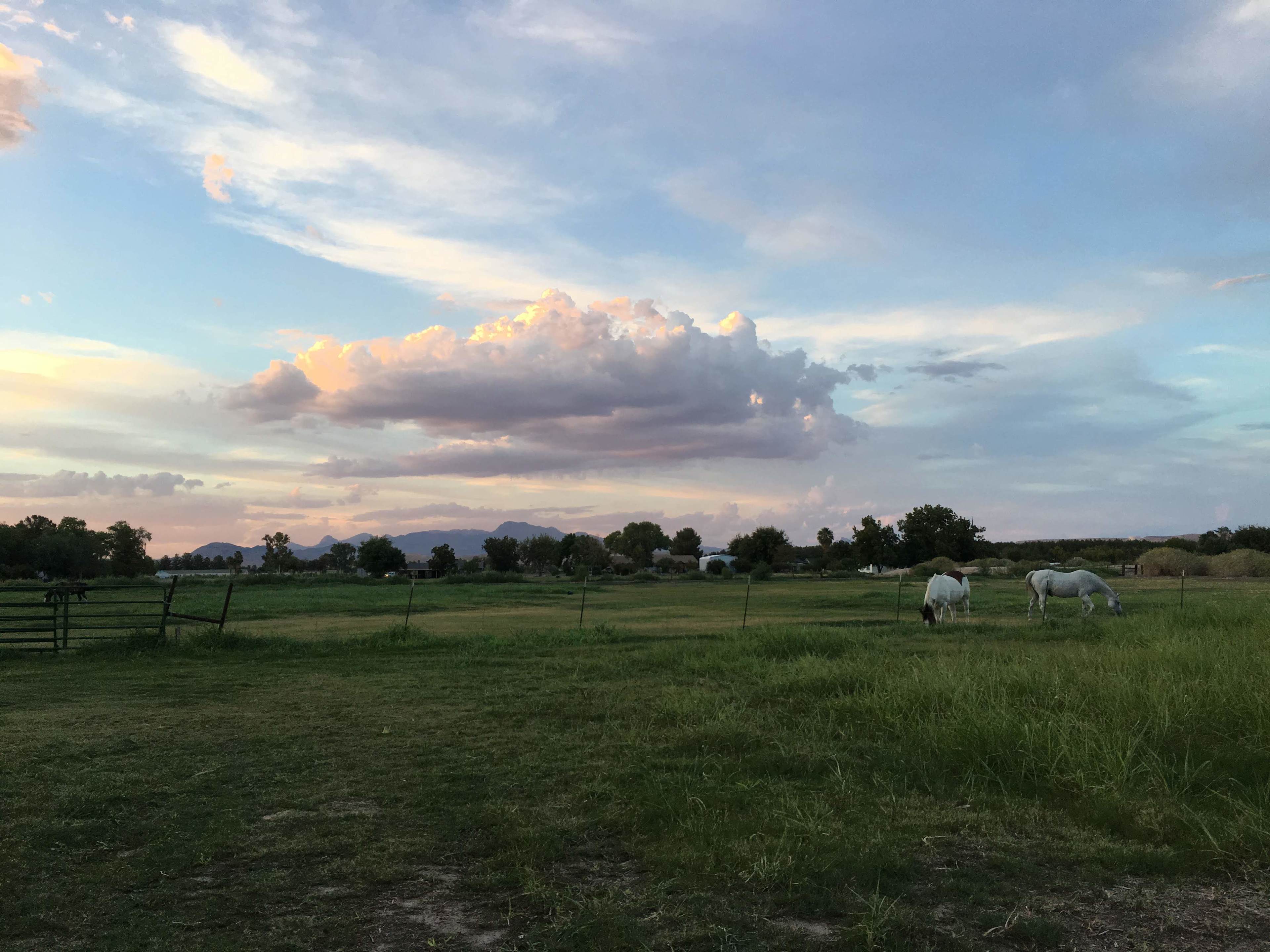 View from campsite
