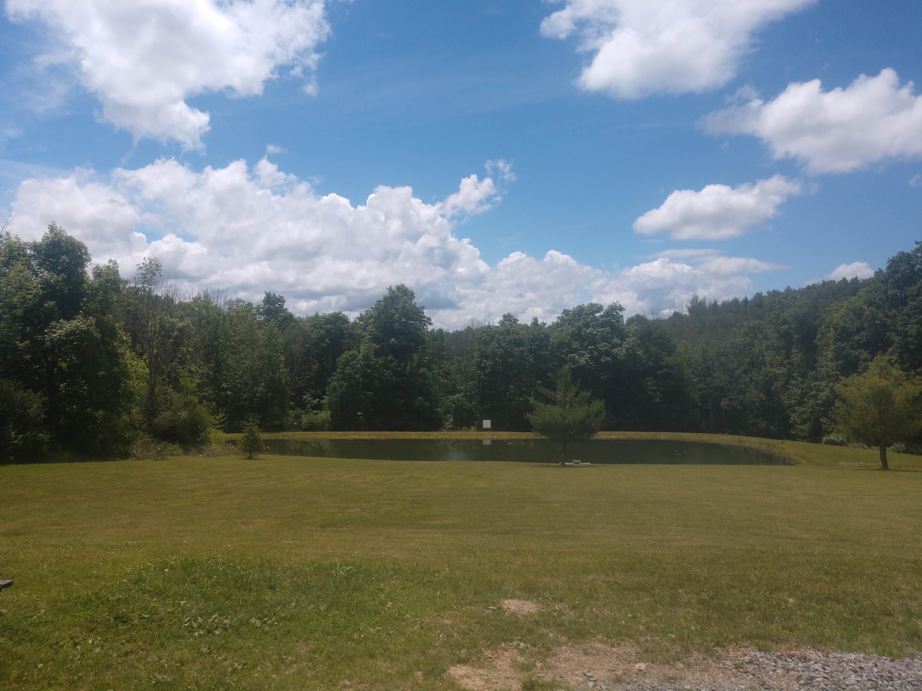 Pond
