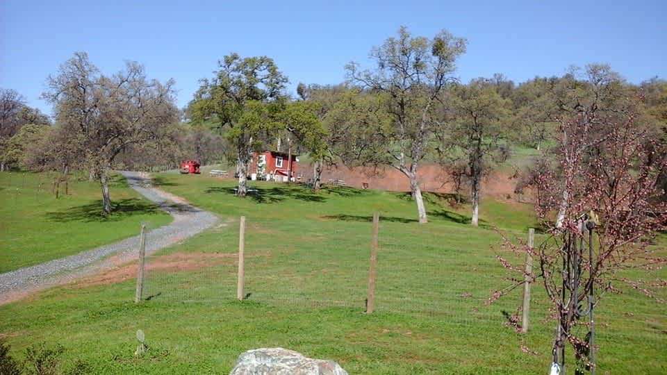 Mommapeggs Getaway in the seirra