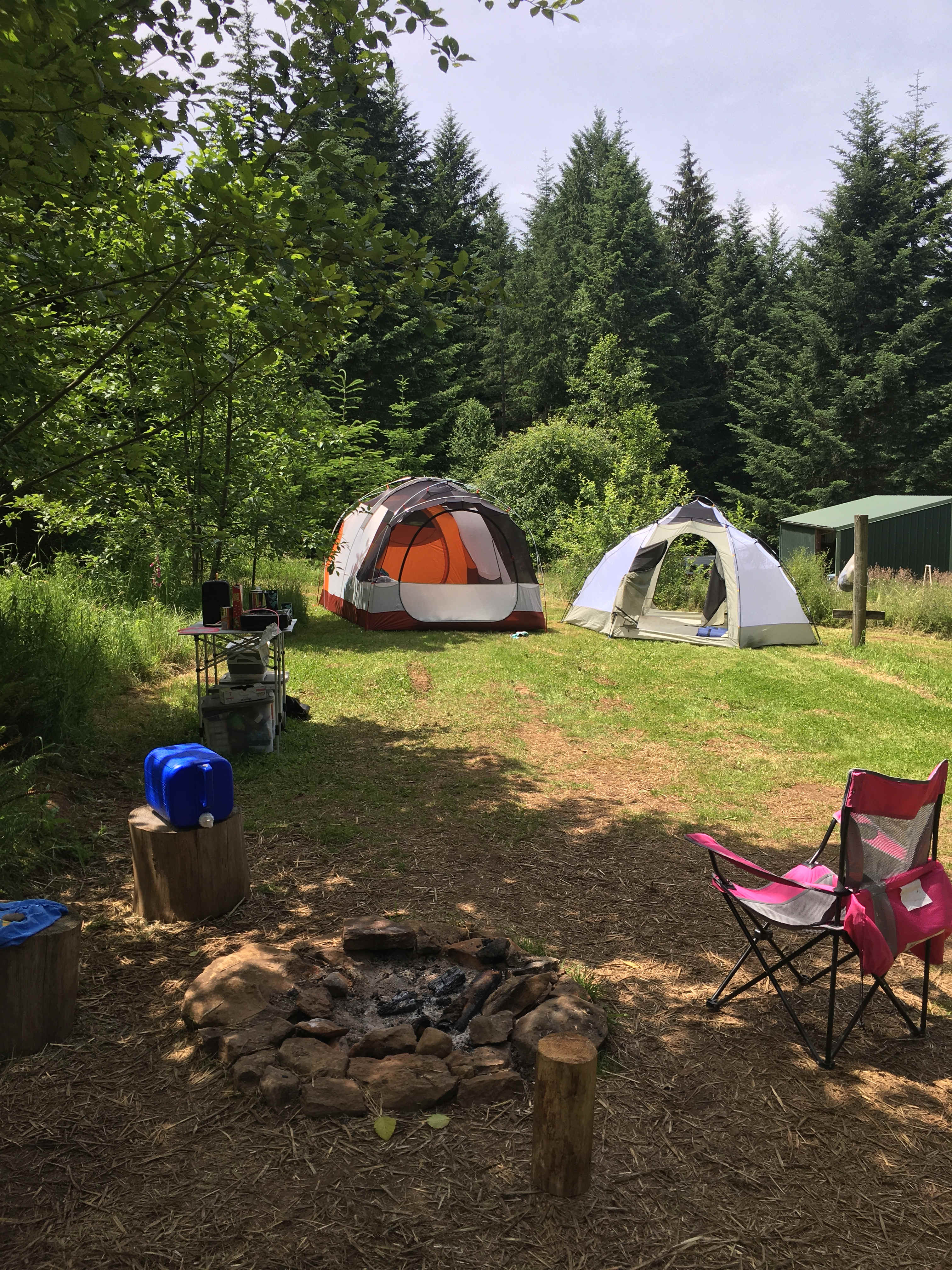 Picture of the site