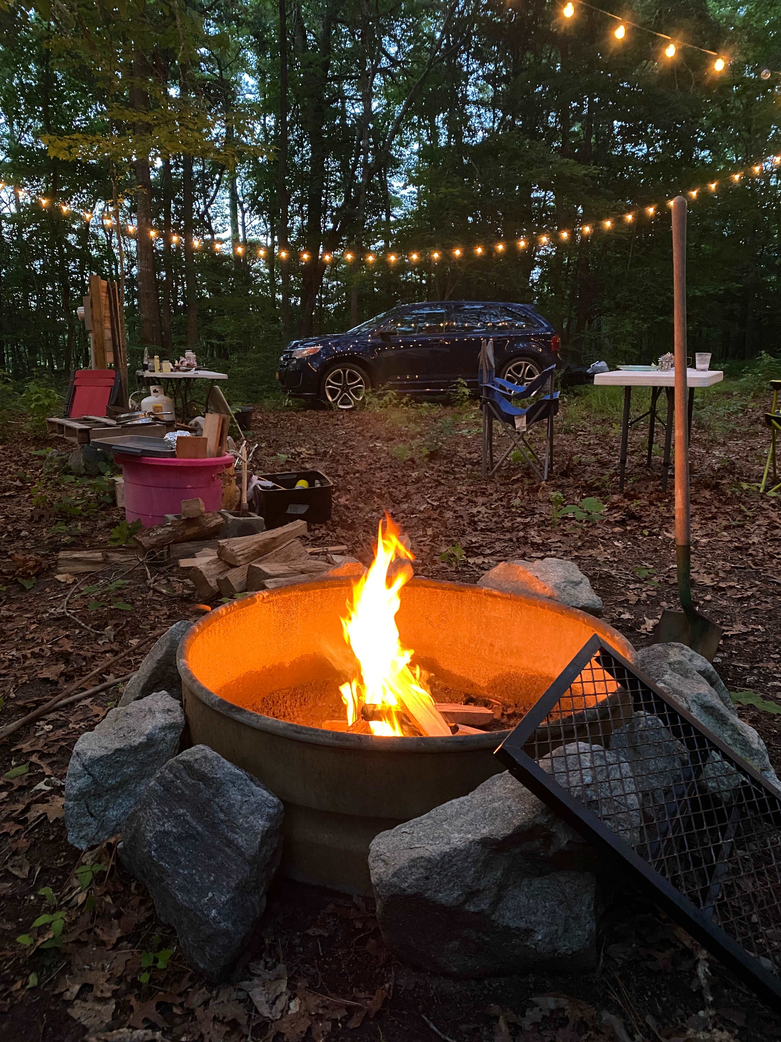 Shine & Rise Magic Food Forest