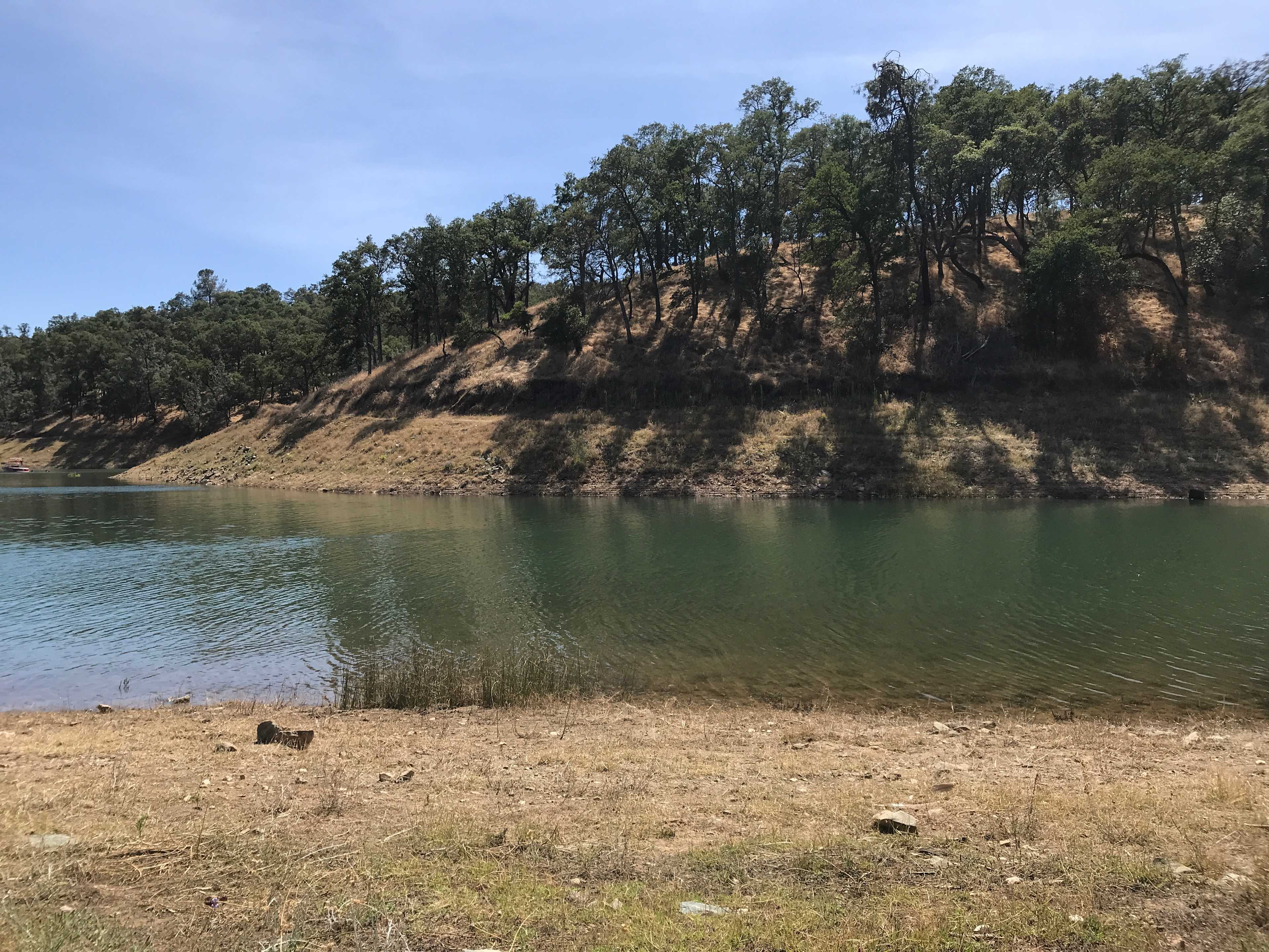 3-5 minute walk from the property to the lake edge. Privatish cove. On the weekends boaters will park in there with their music so don’t expect serenity. But it’s still a great spot. 
