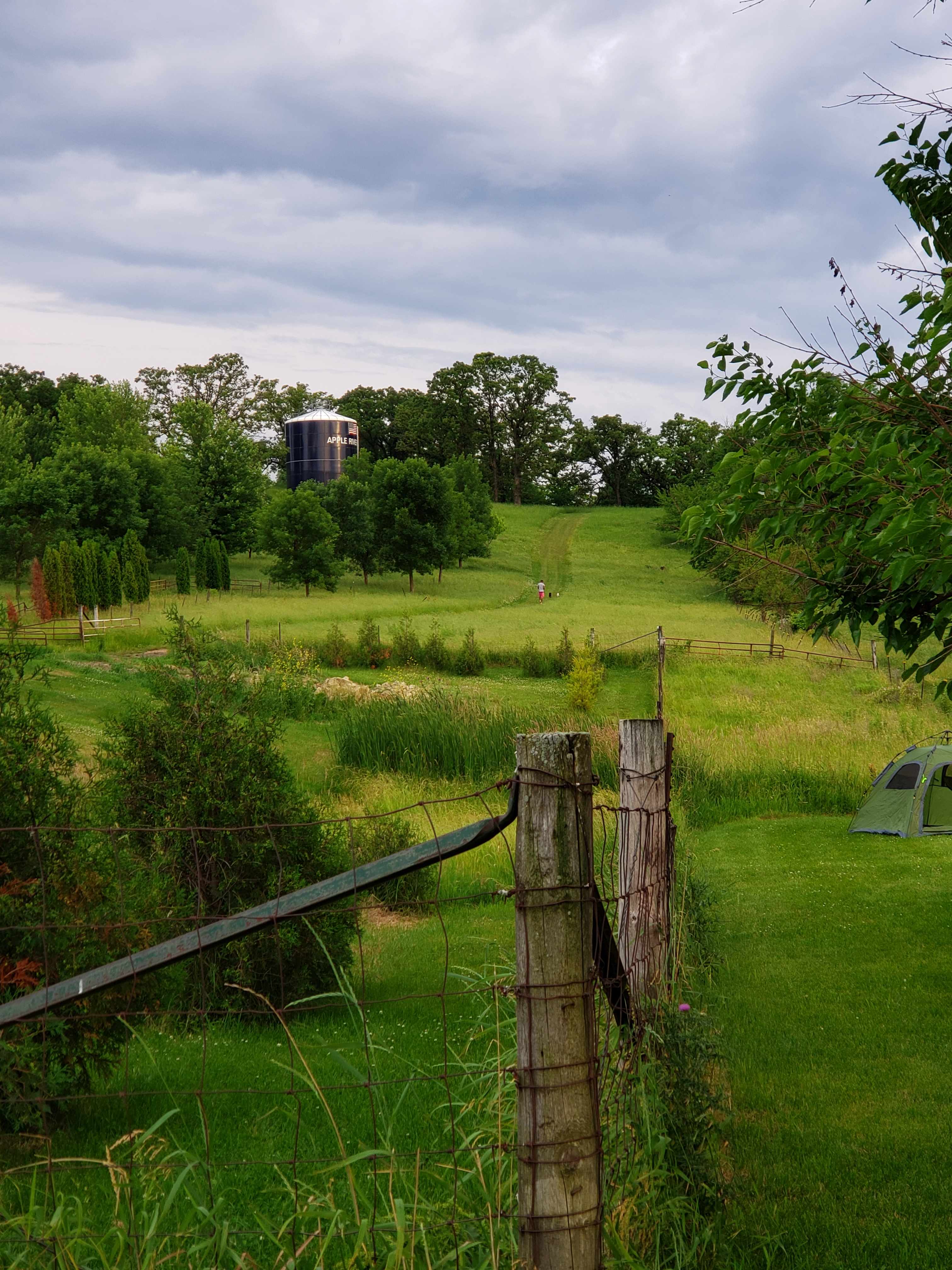Picture of the site
