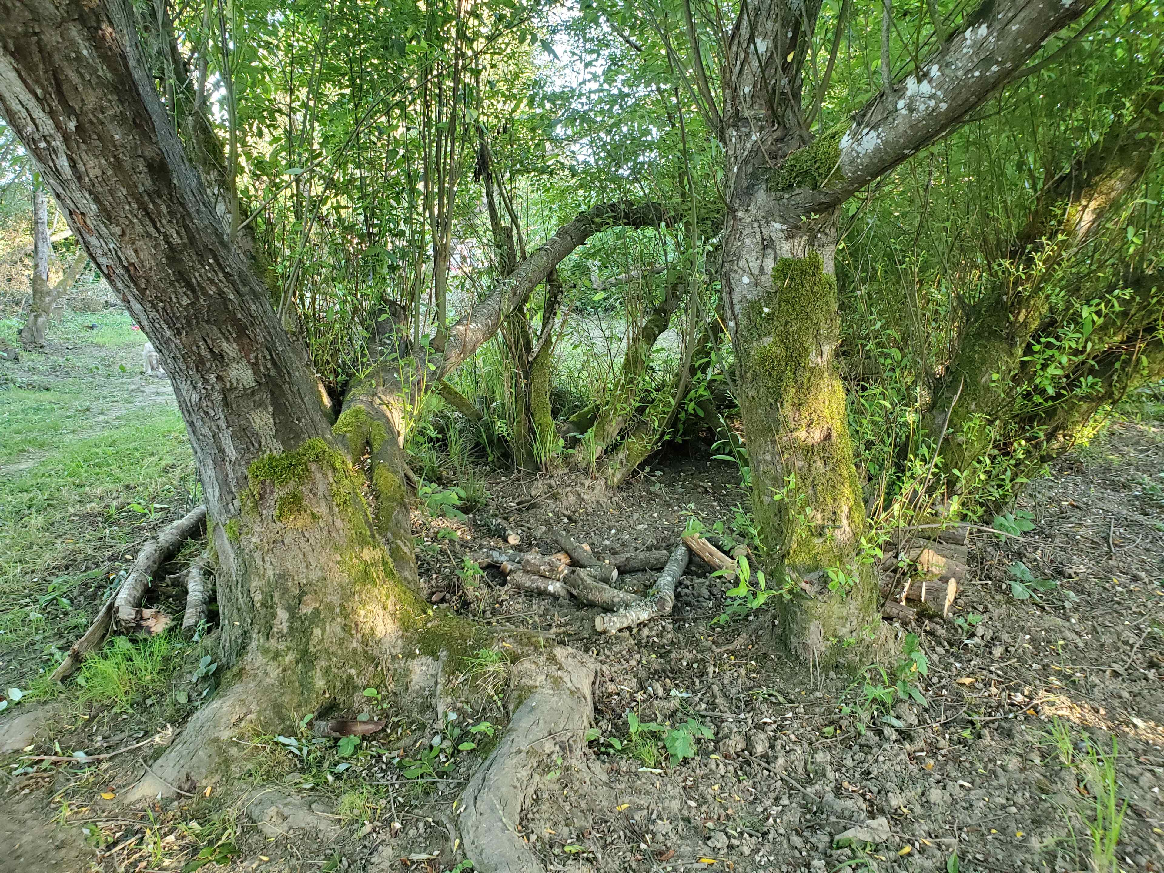 Foley's River Camp