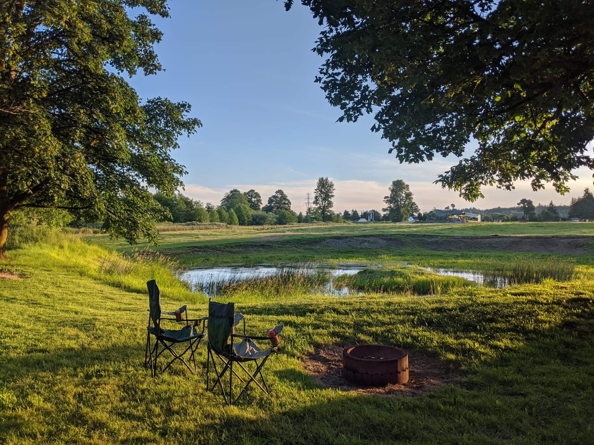 Picture of the site