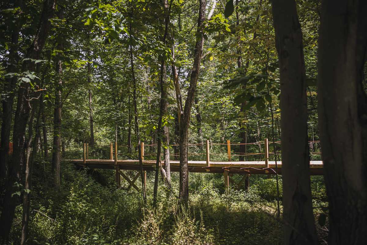 Carp Cove Farm