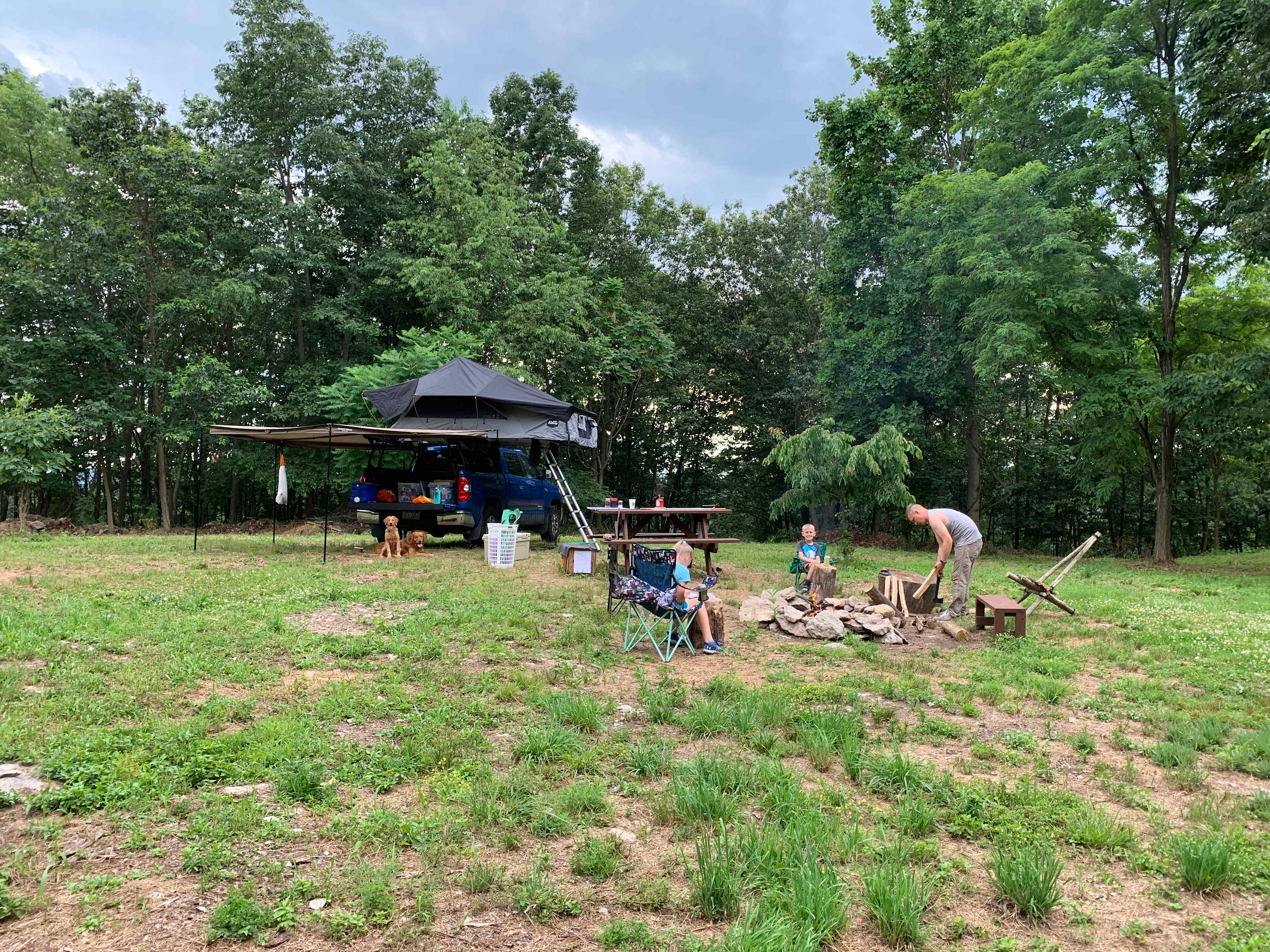 Picture of the site