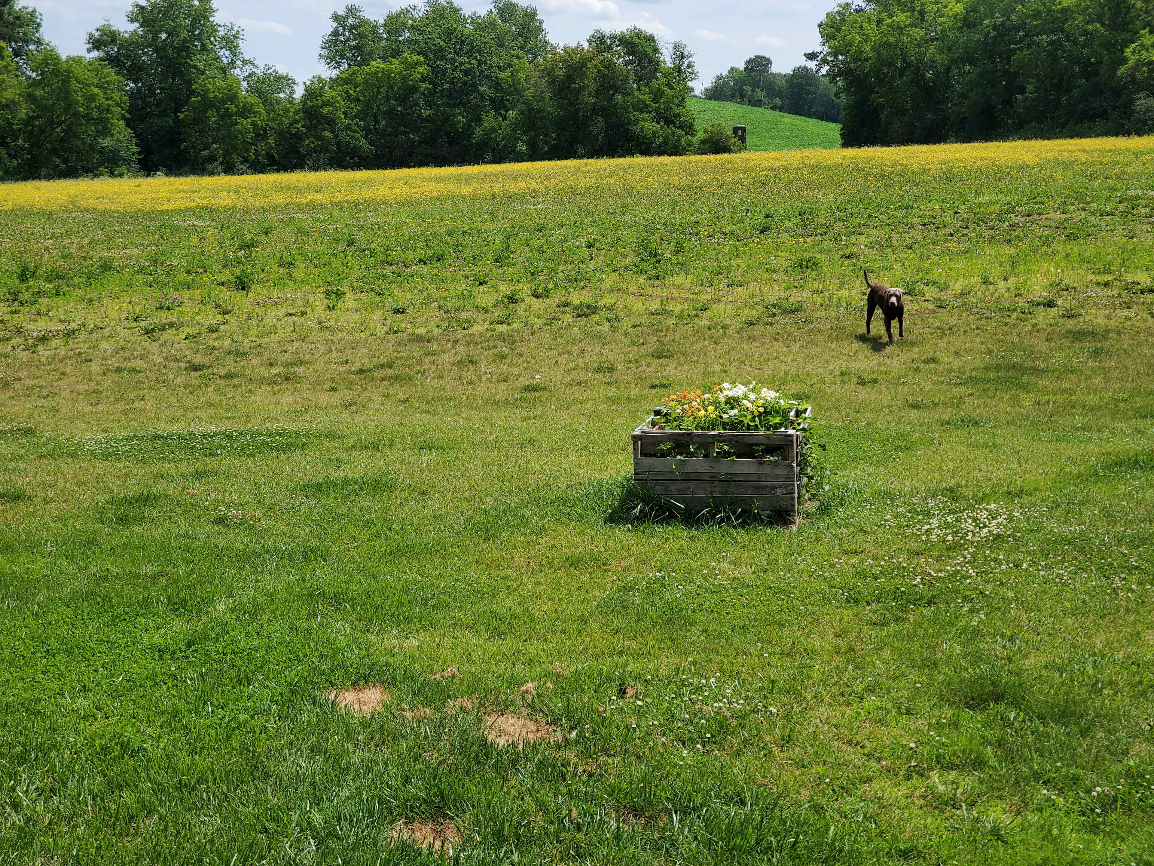 Picture of the site