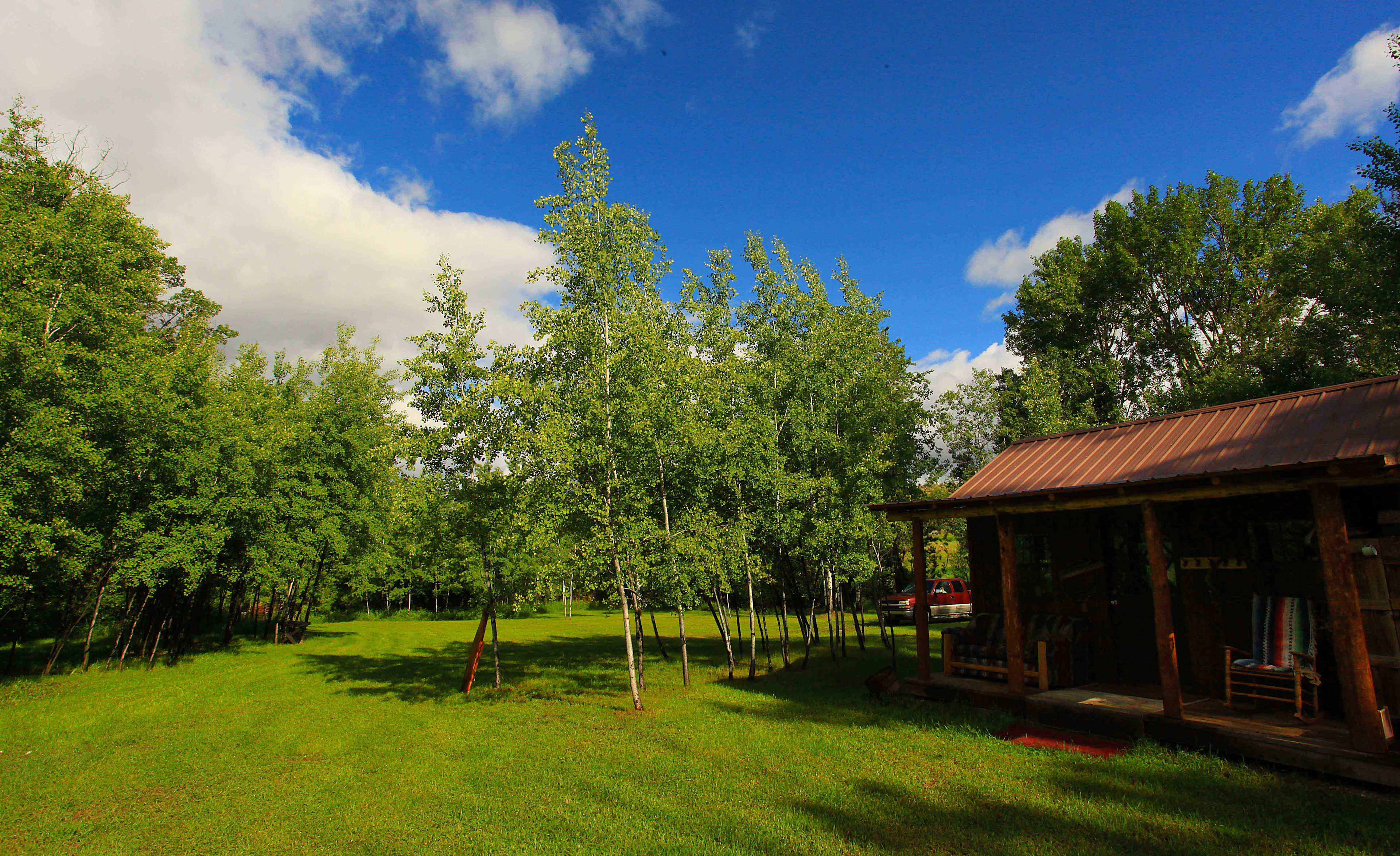 Meadow area with the cabin facing outward on the right. 