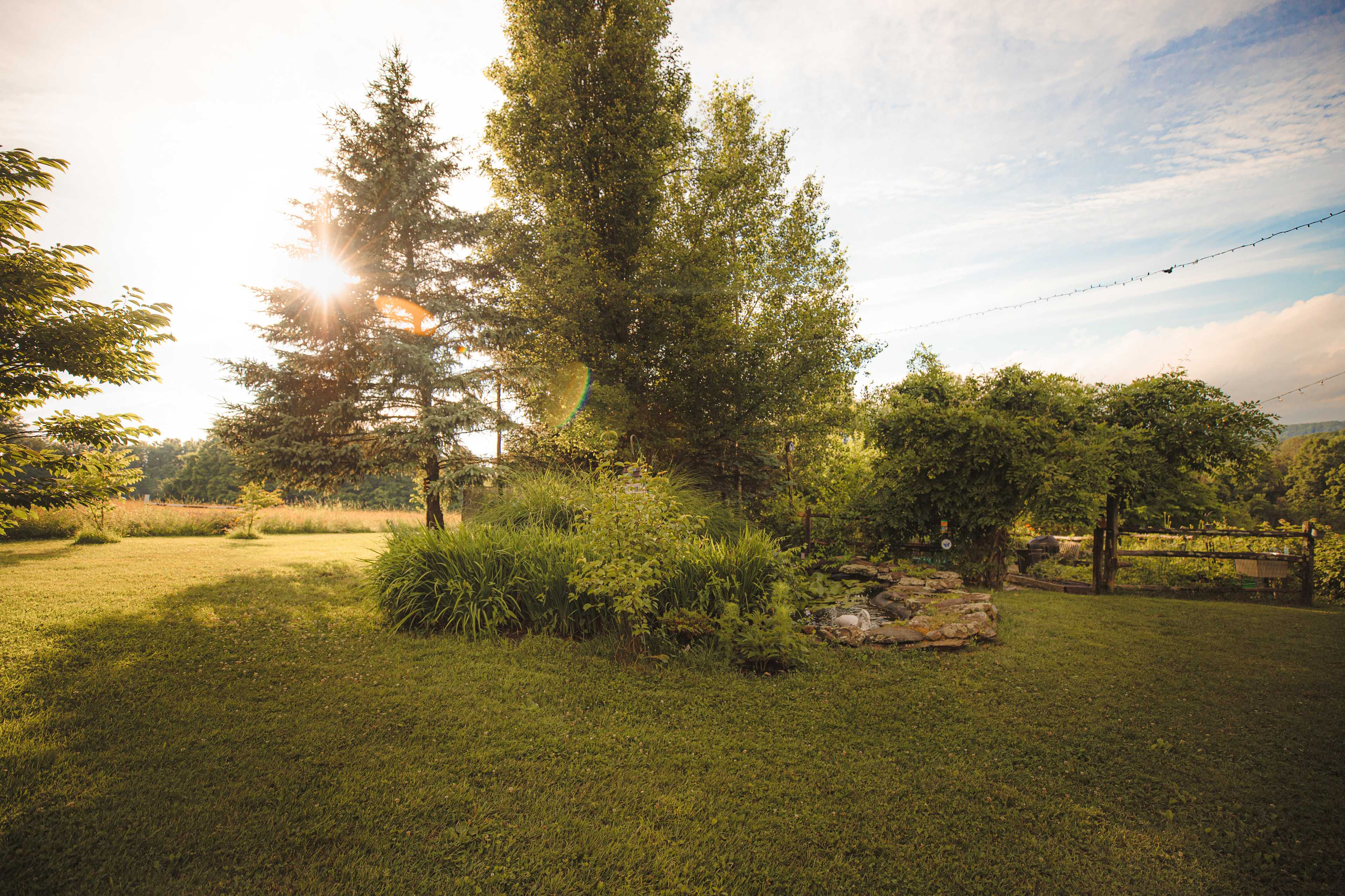 Pure beauty all around the property