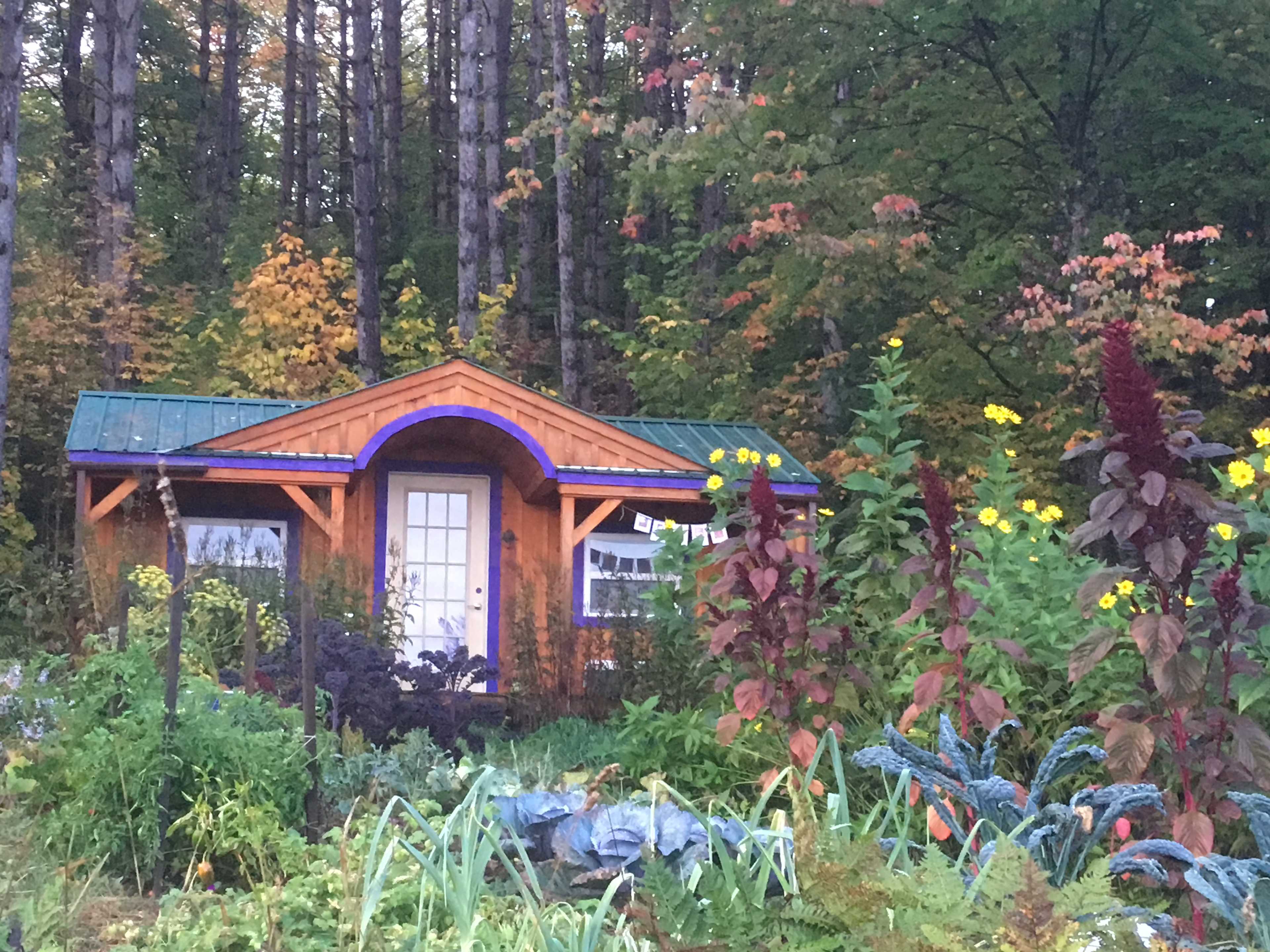 Verbena Vista at Dreamland