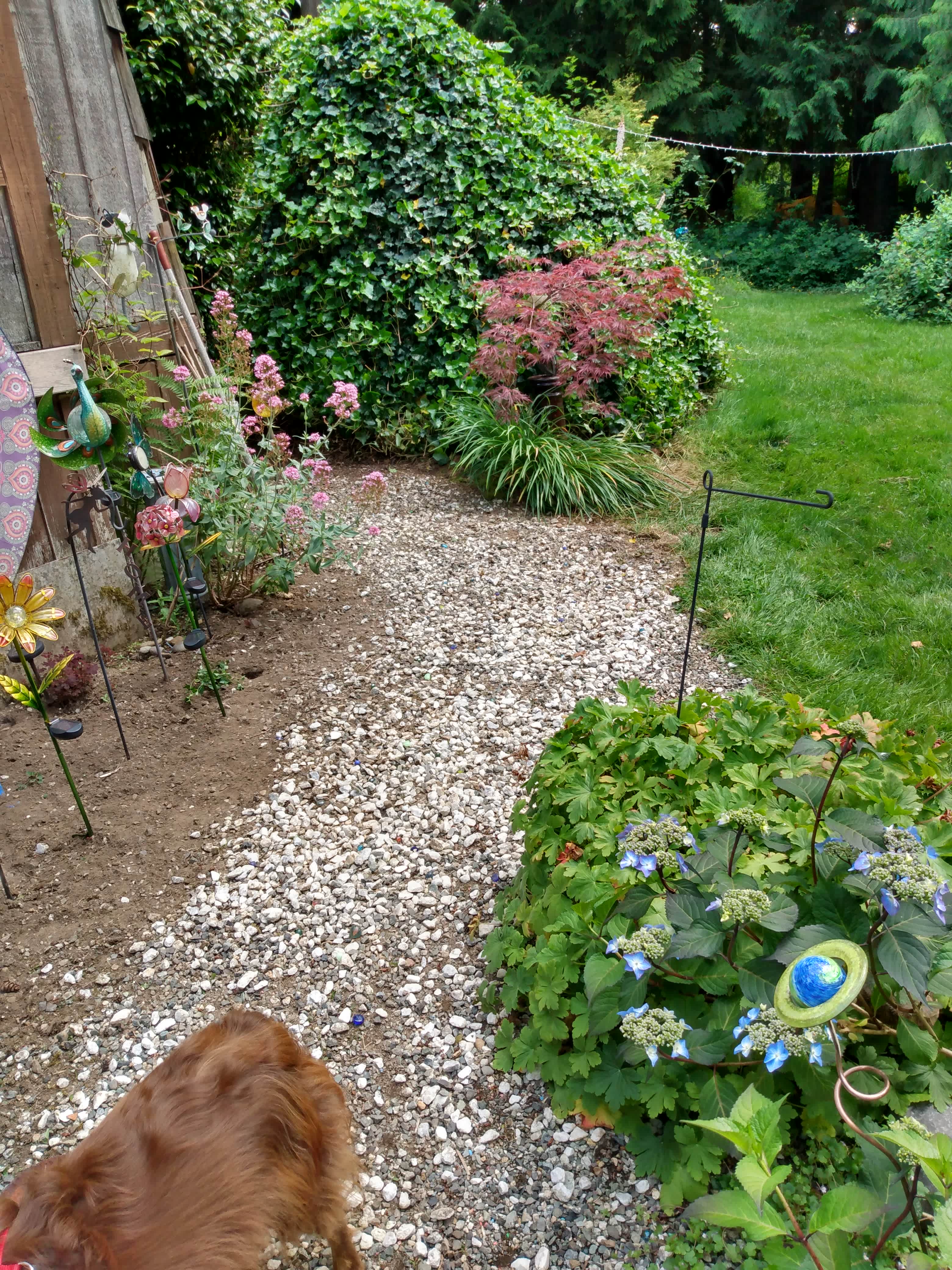 Path from front to back deck... 
What a lovely place to stay.  We've had 2 weddings there. Camp often and love the family who run Mother Earths Pocket!! 💕🦋