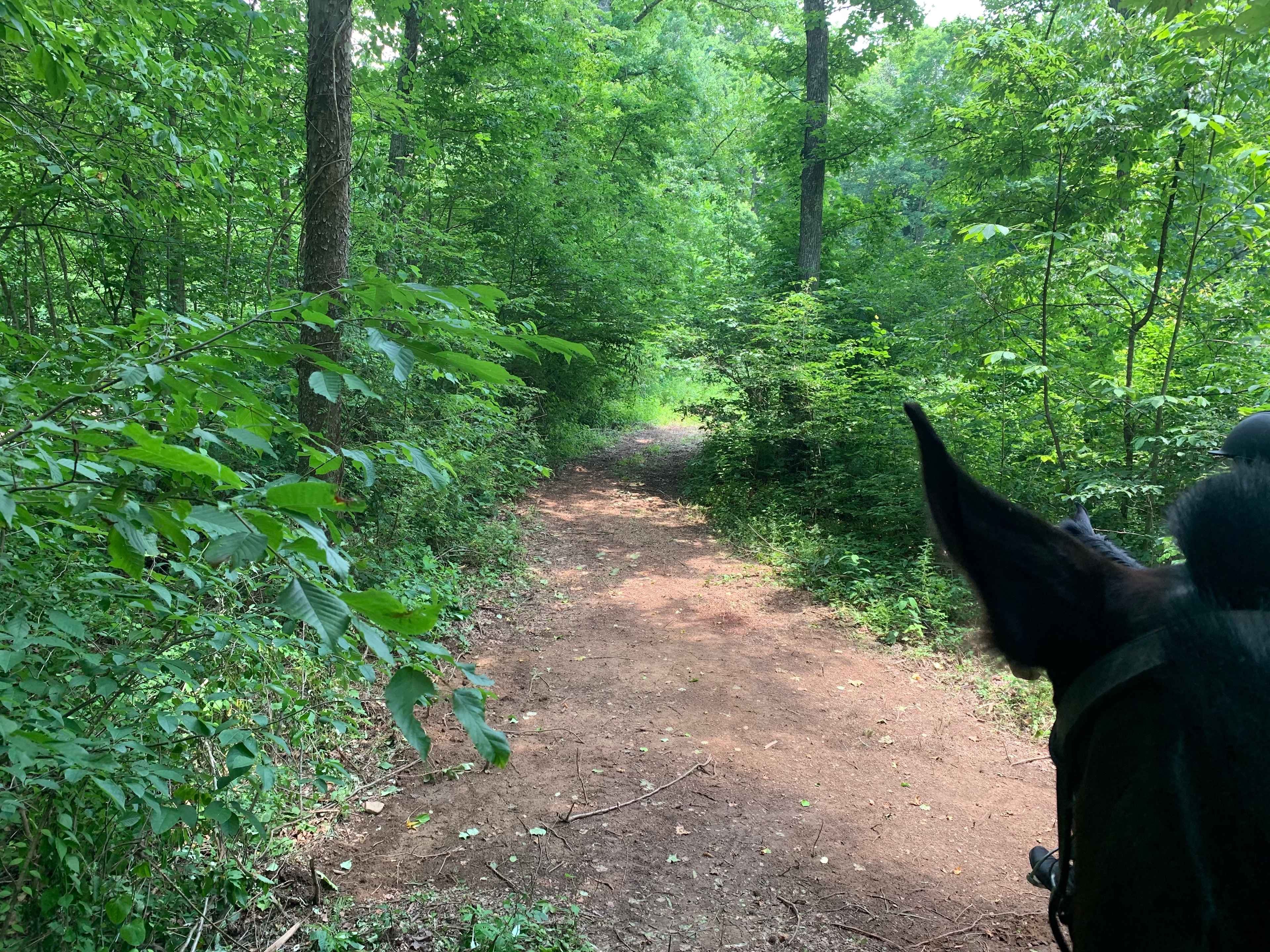 Myhio Haven Horse Farm