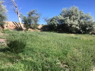 Camping area 3