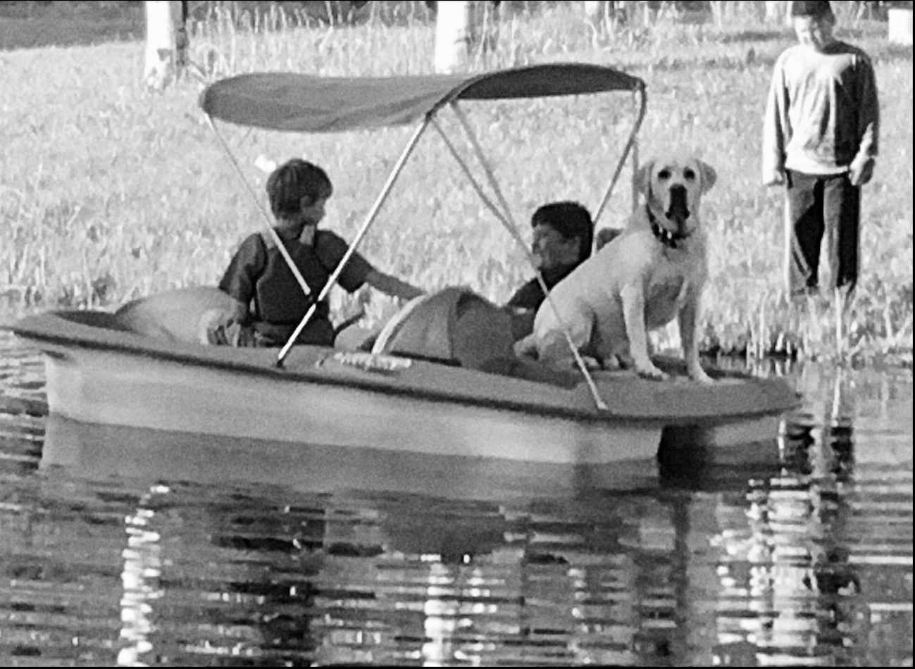 Paddle boats included. 