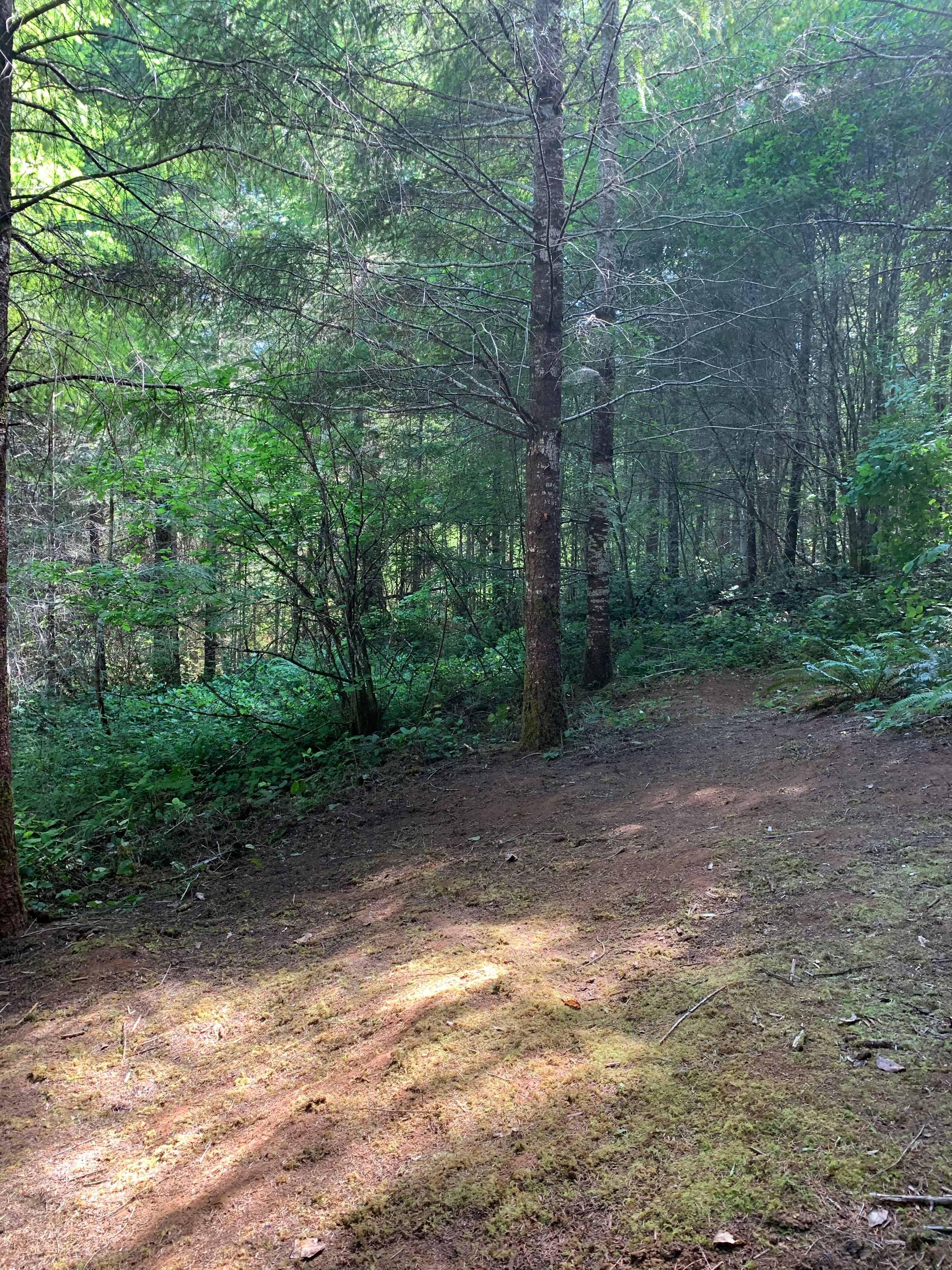 Woods w/your own camping supplies