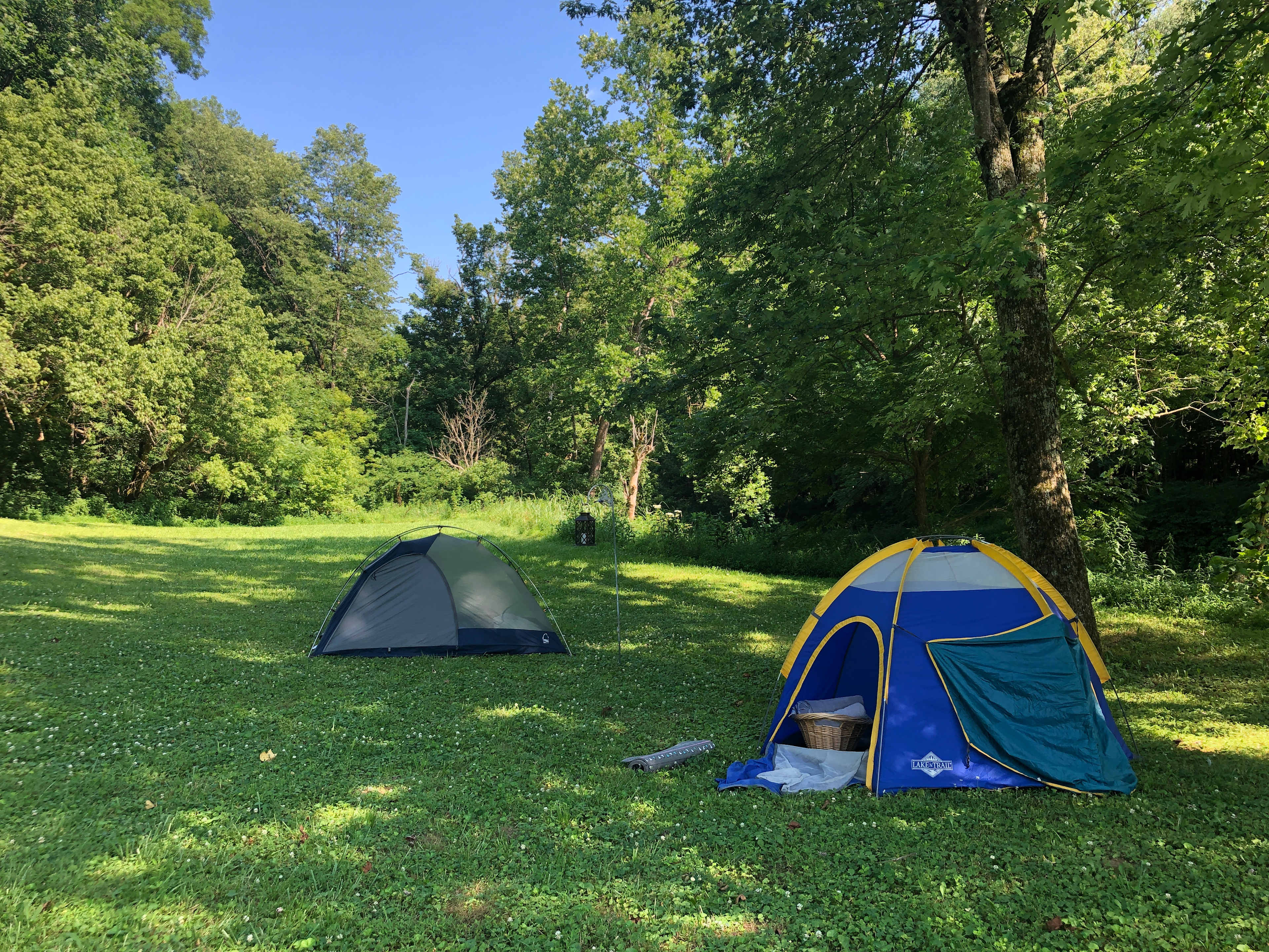 Little Blue Horse Camp