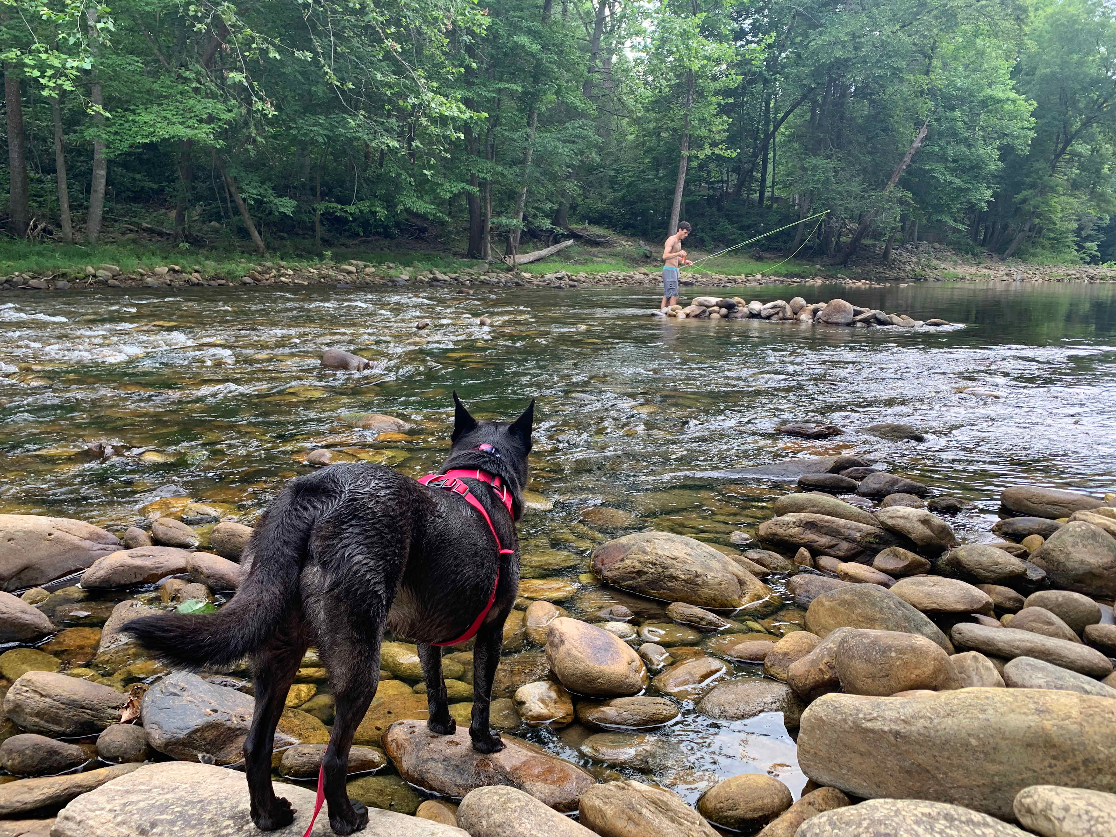 Some fly fishing