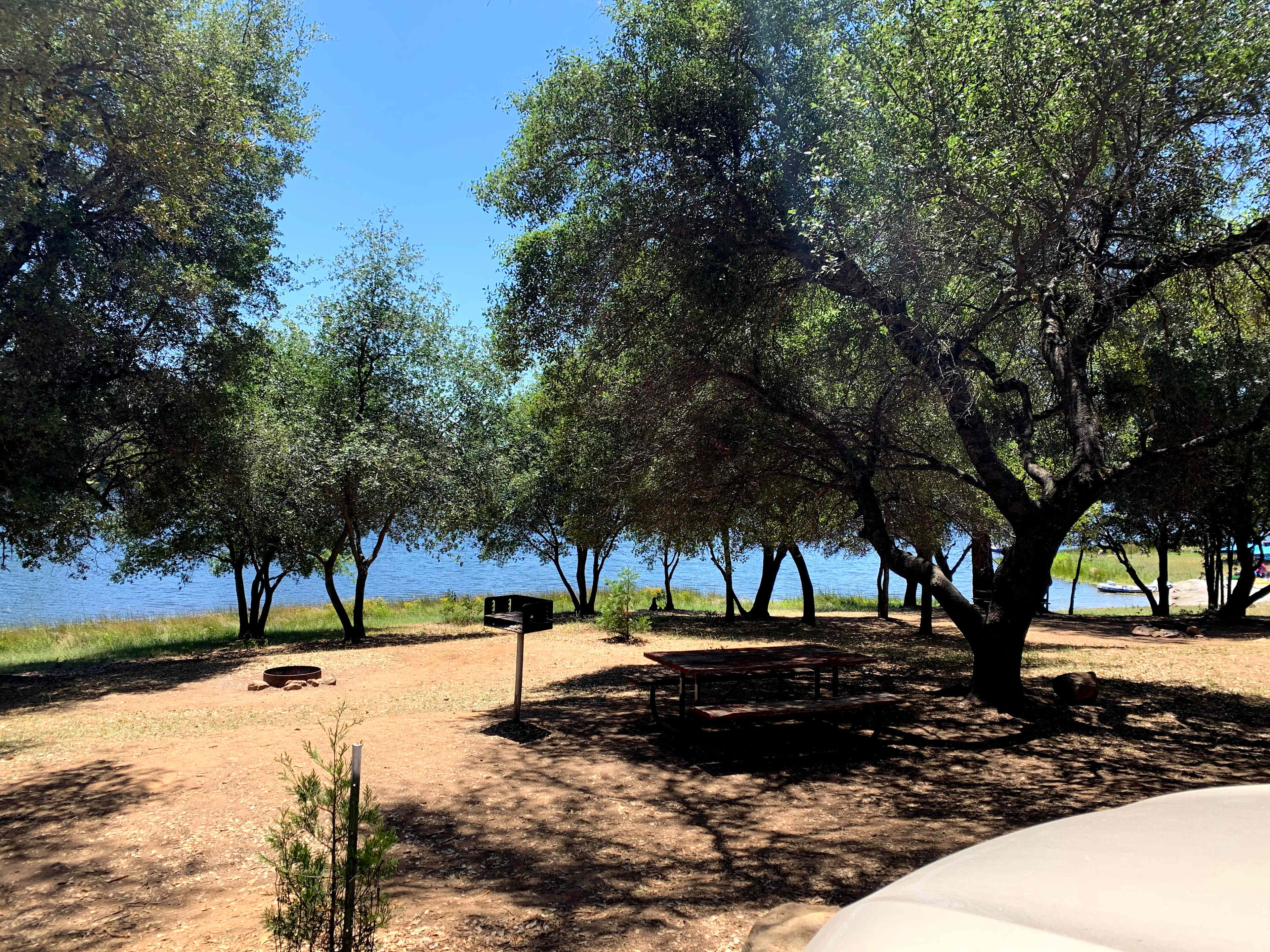 Firepit, bench, grill, and trees for hammocks!