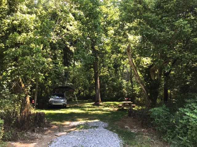 Picture of the site