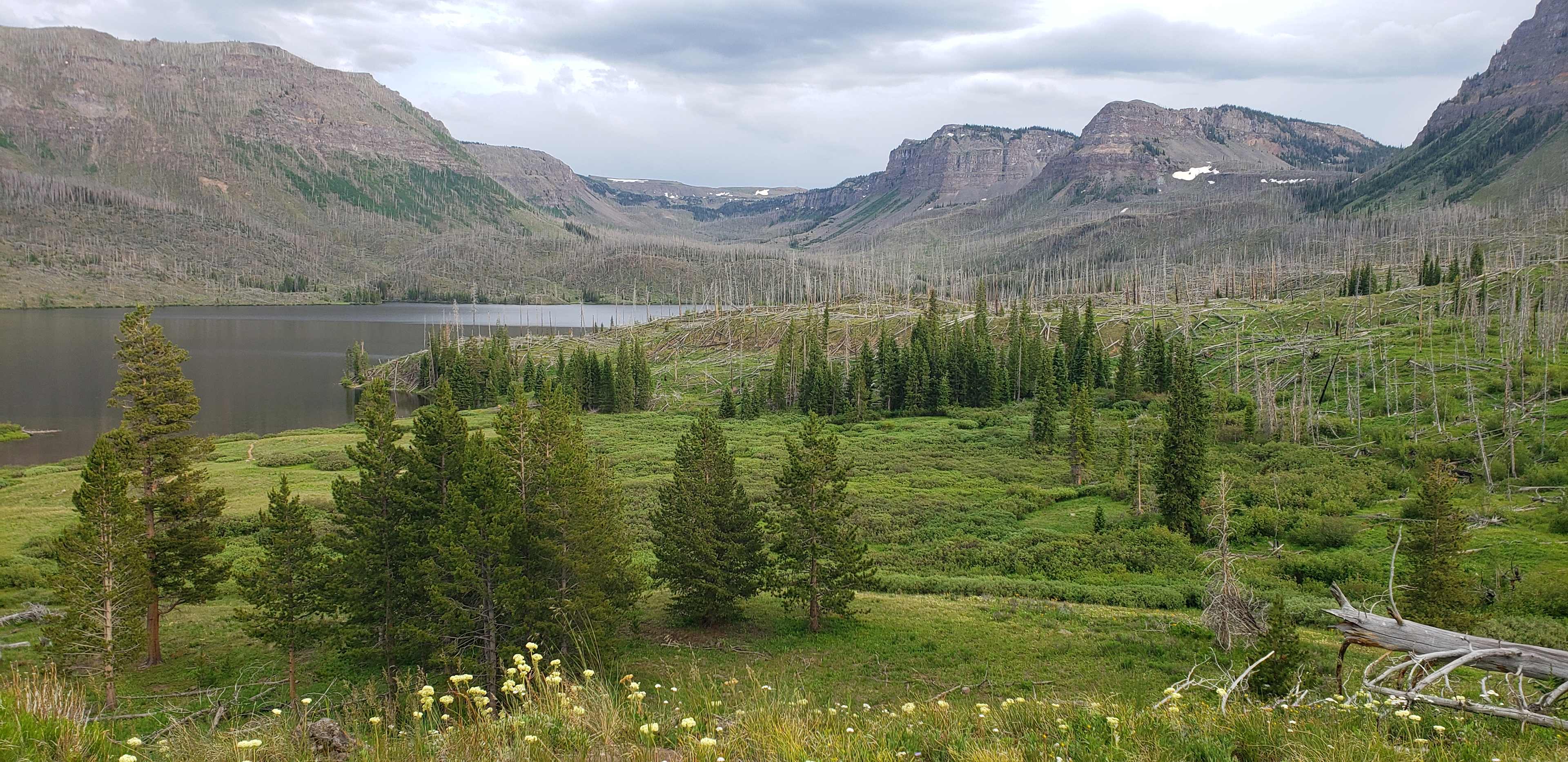 Picture of the site