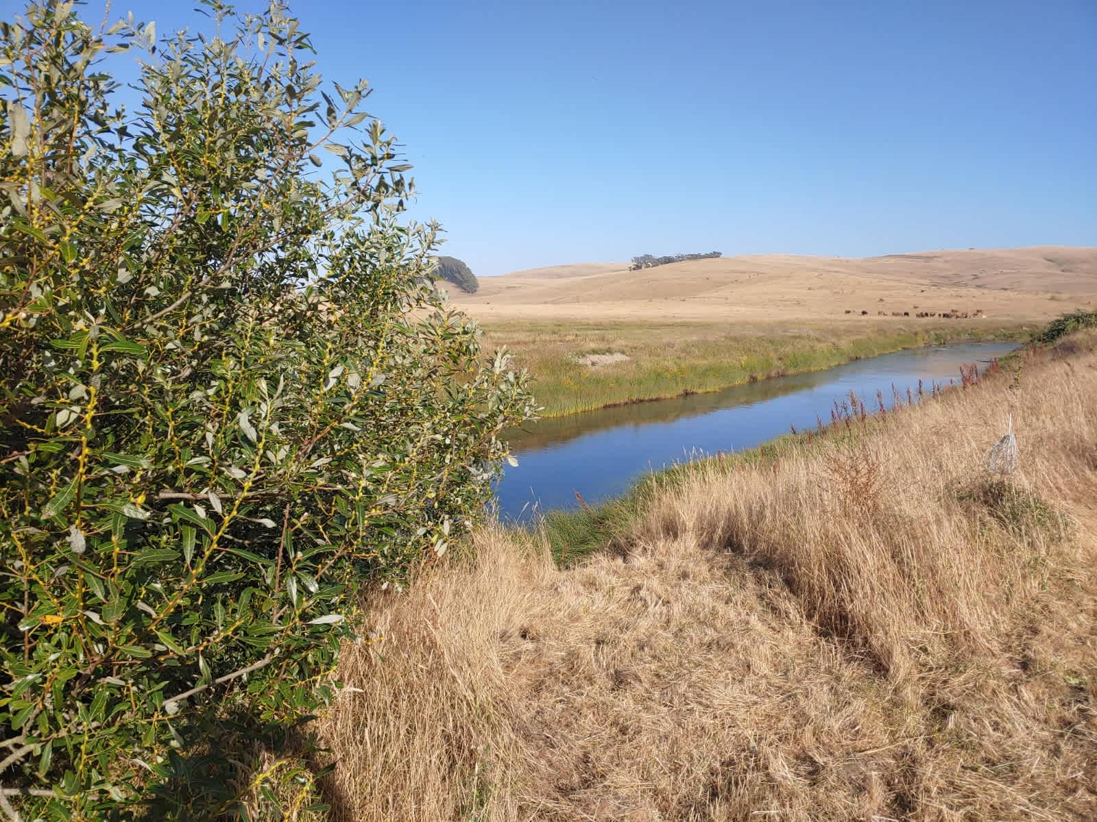 Estero San Antonio Wonderland