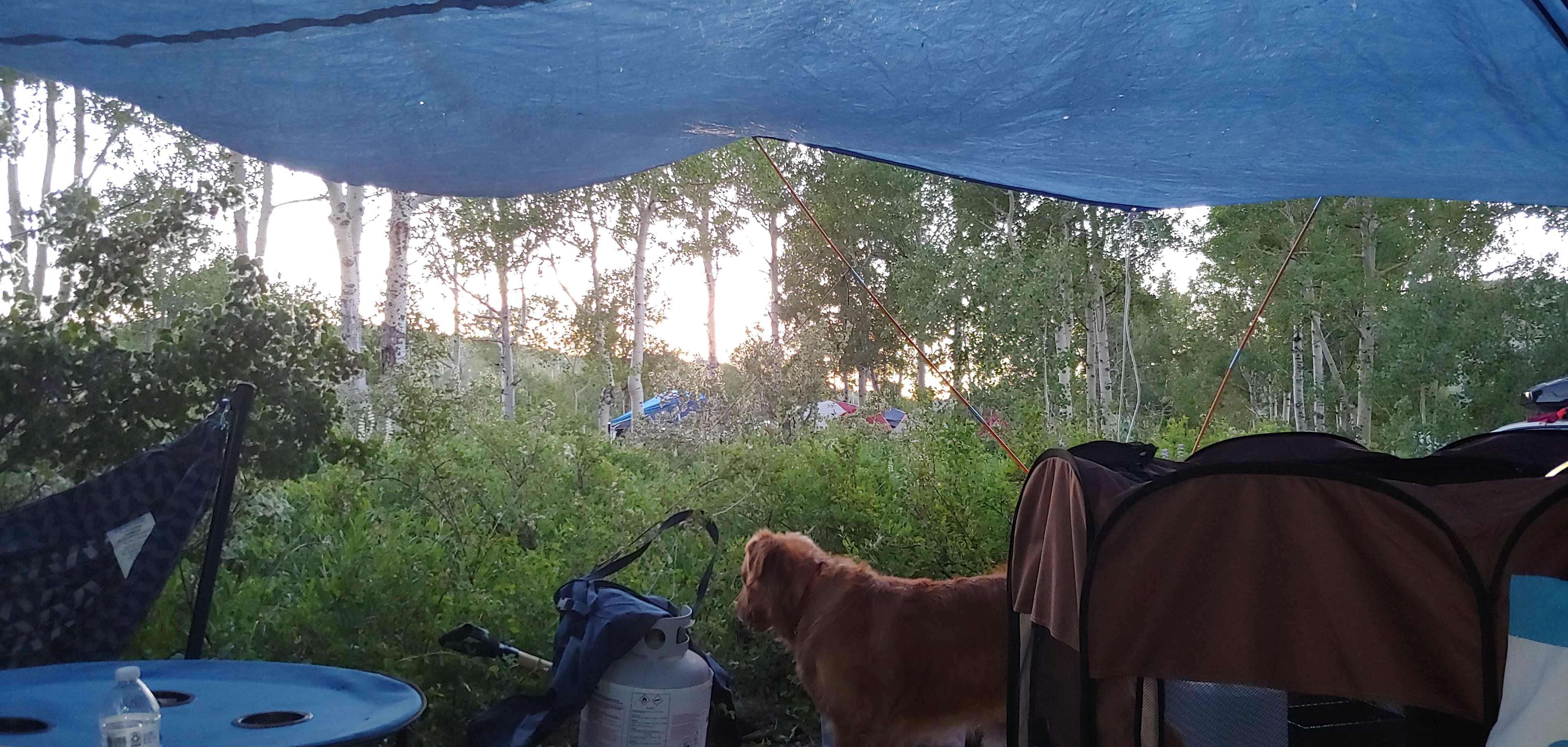 Kolob Campground