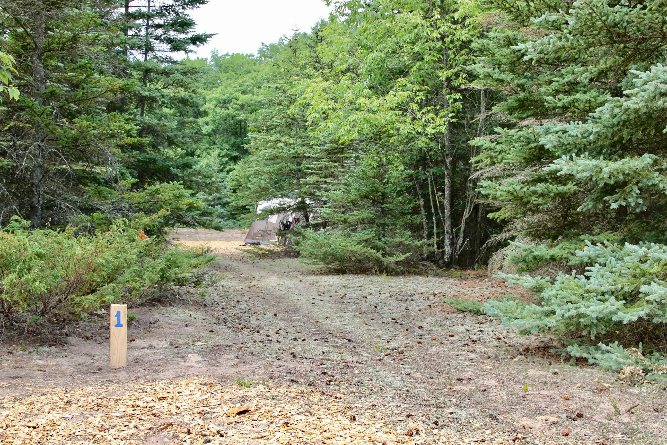 Picture of the site