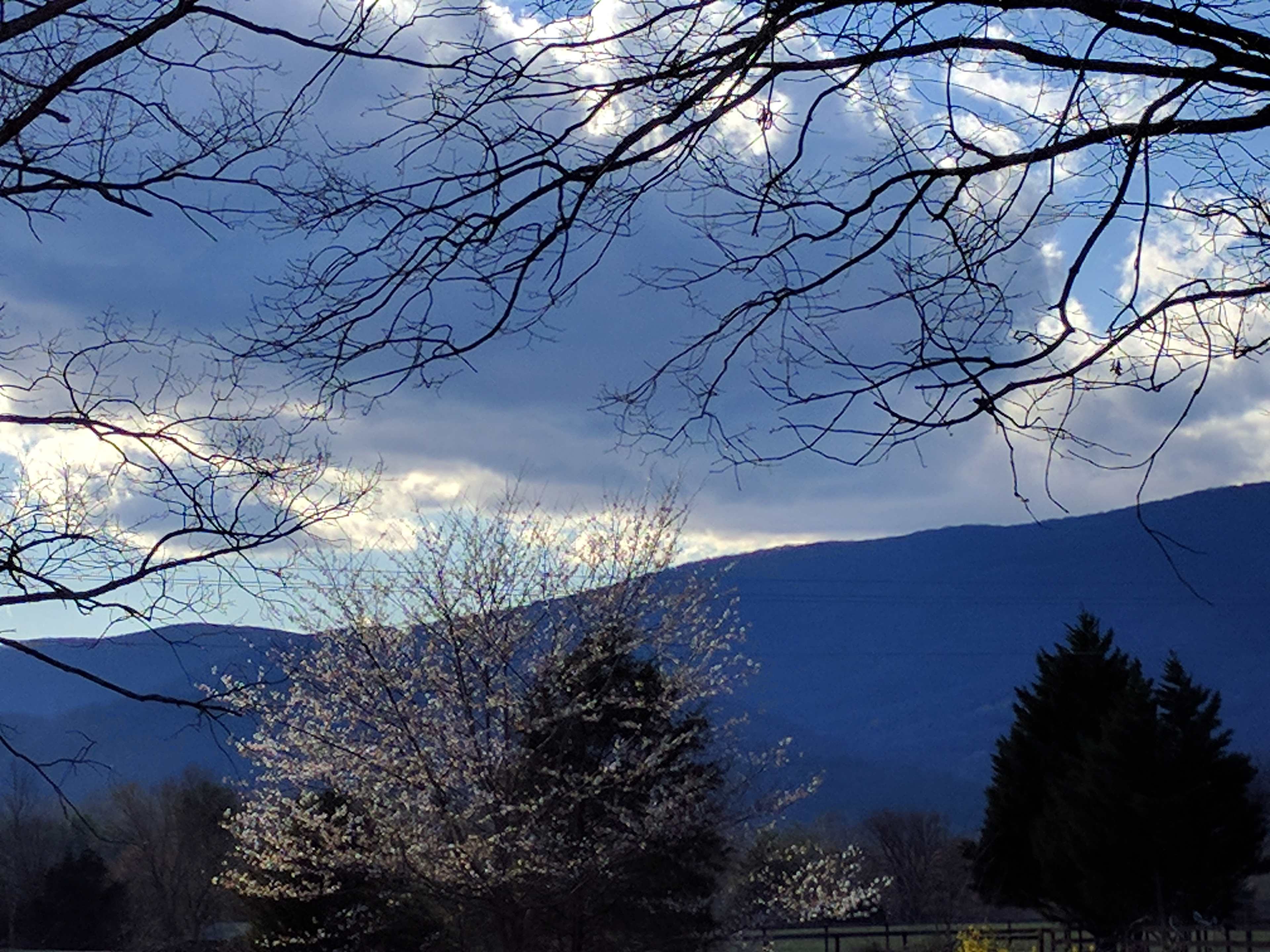 View of the Blue Ridge Mountains