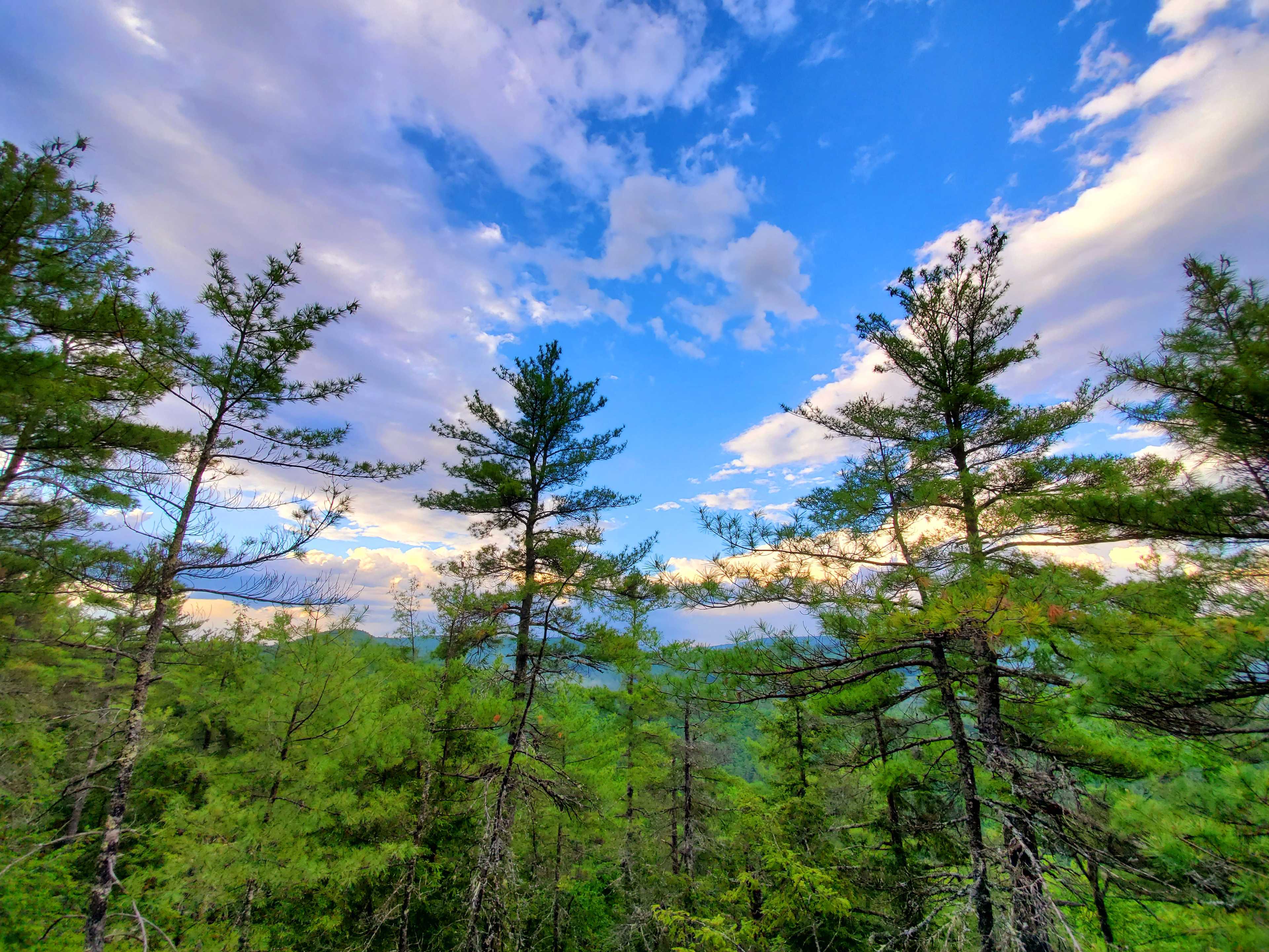 View at the top of Perry Mountain 
