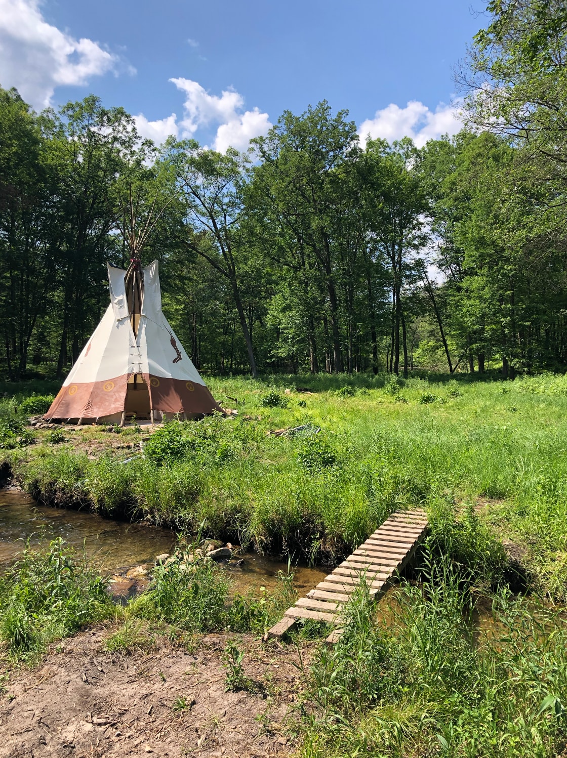 Picture of the site