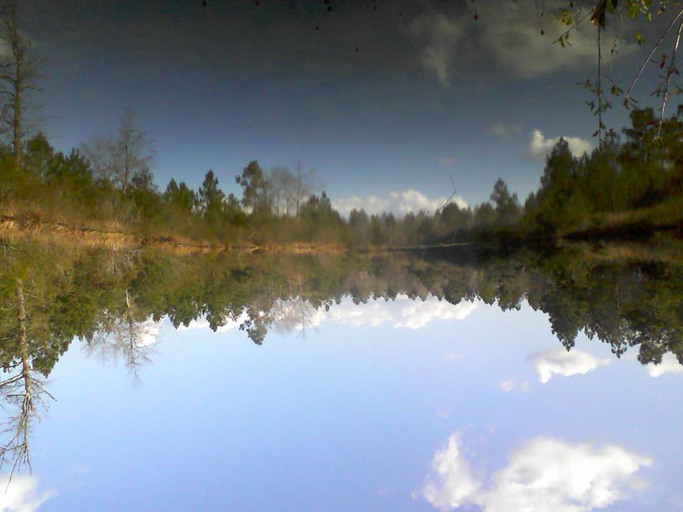 Back pond