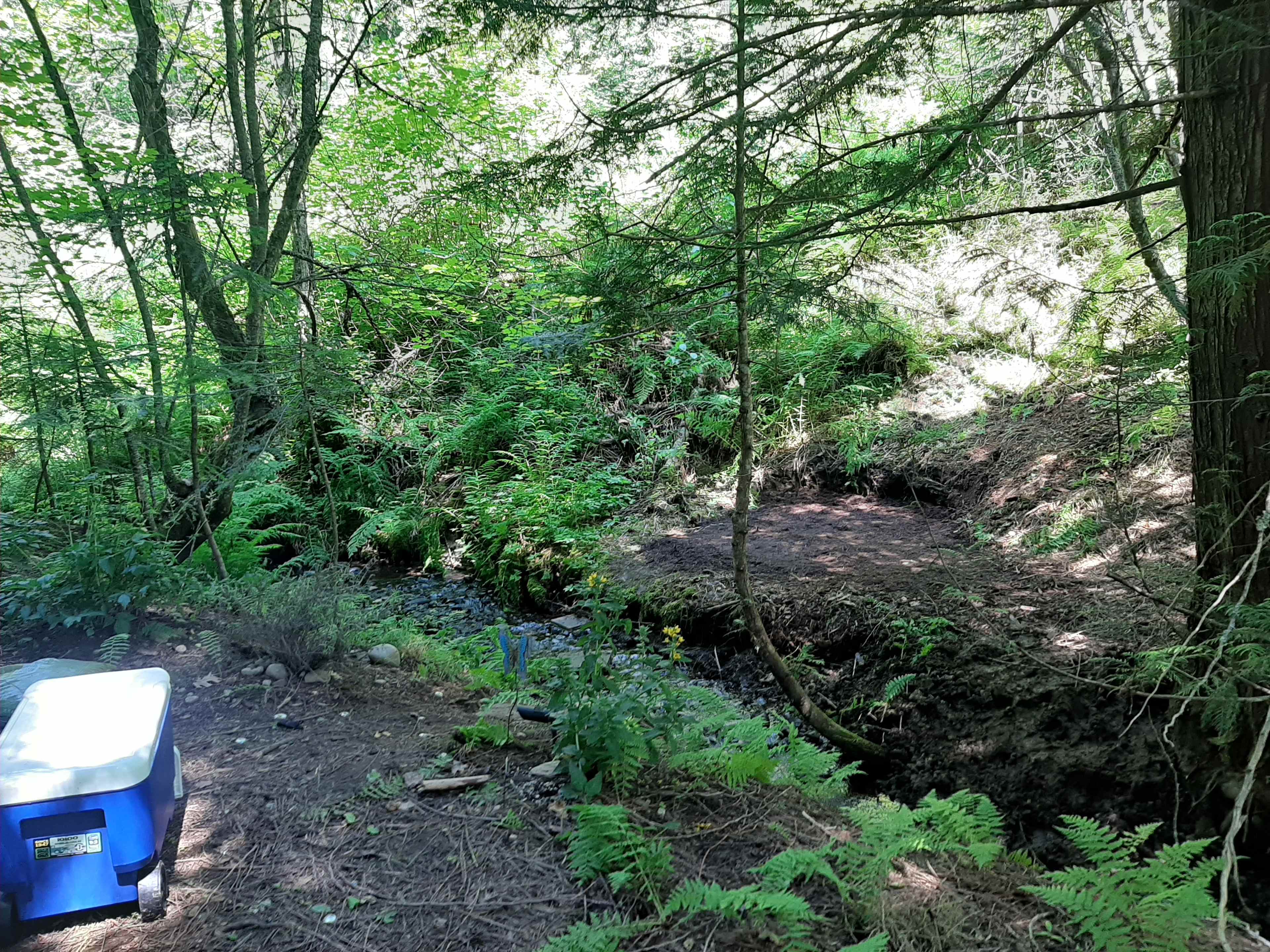 Picture of the site
