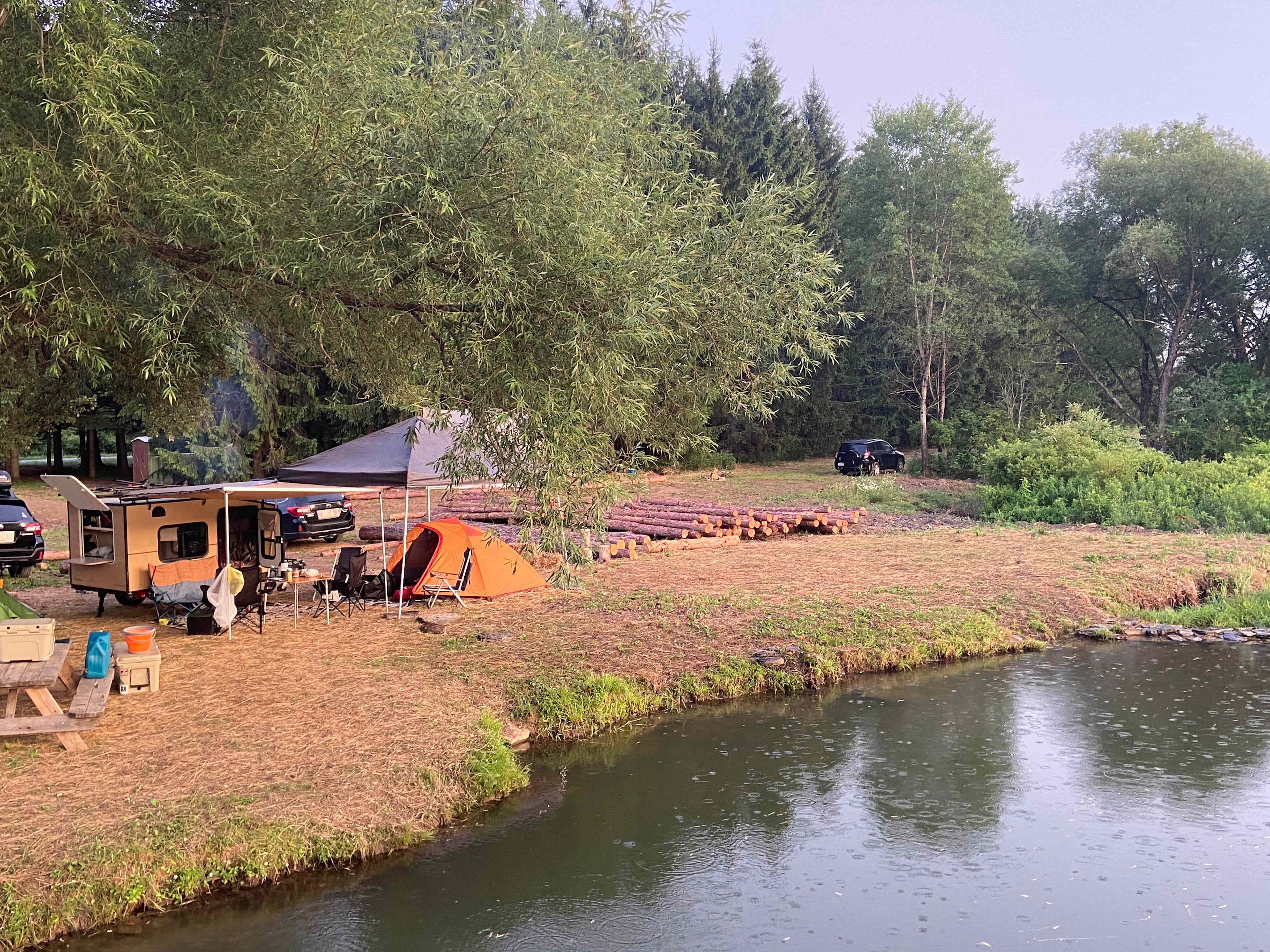 Picture of the site