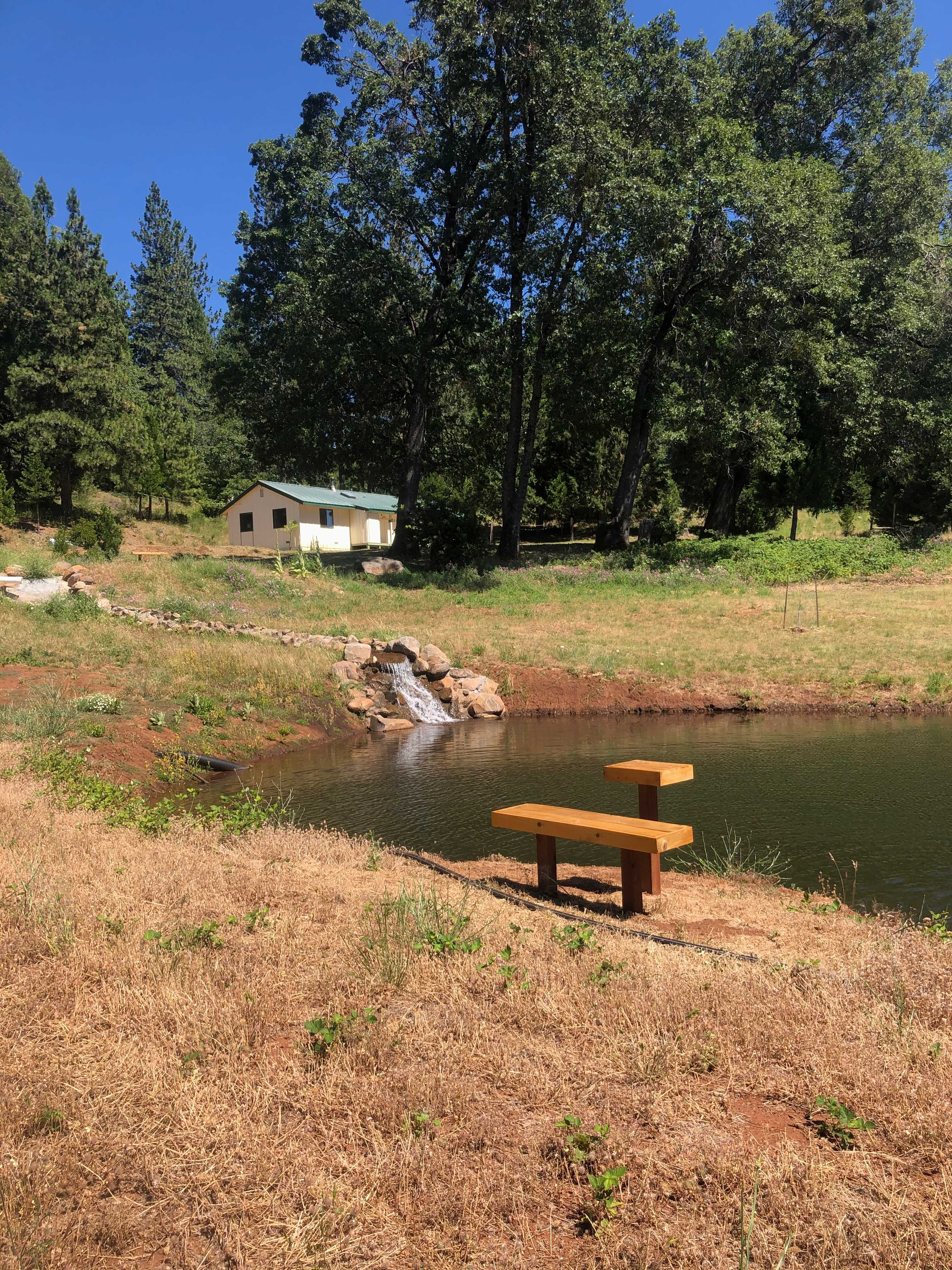 Picture of the site
