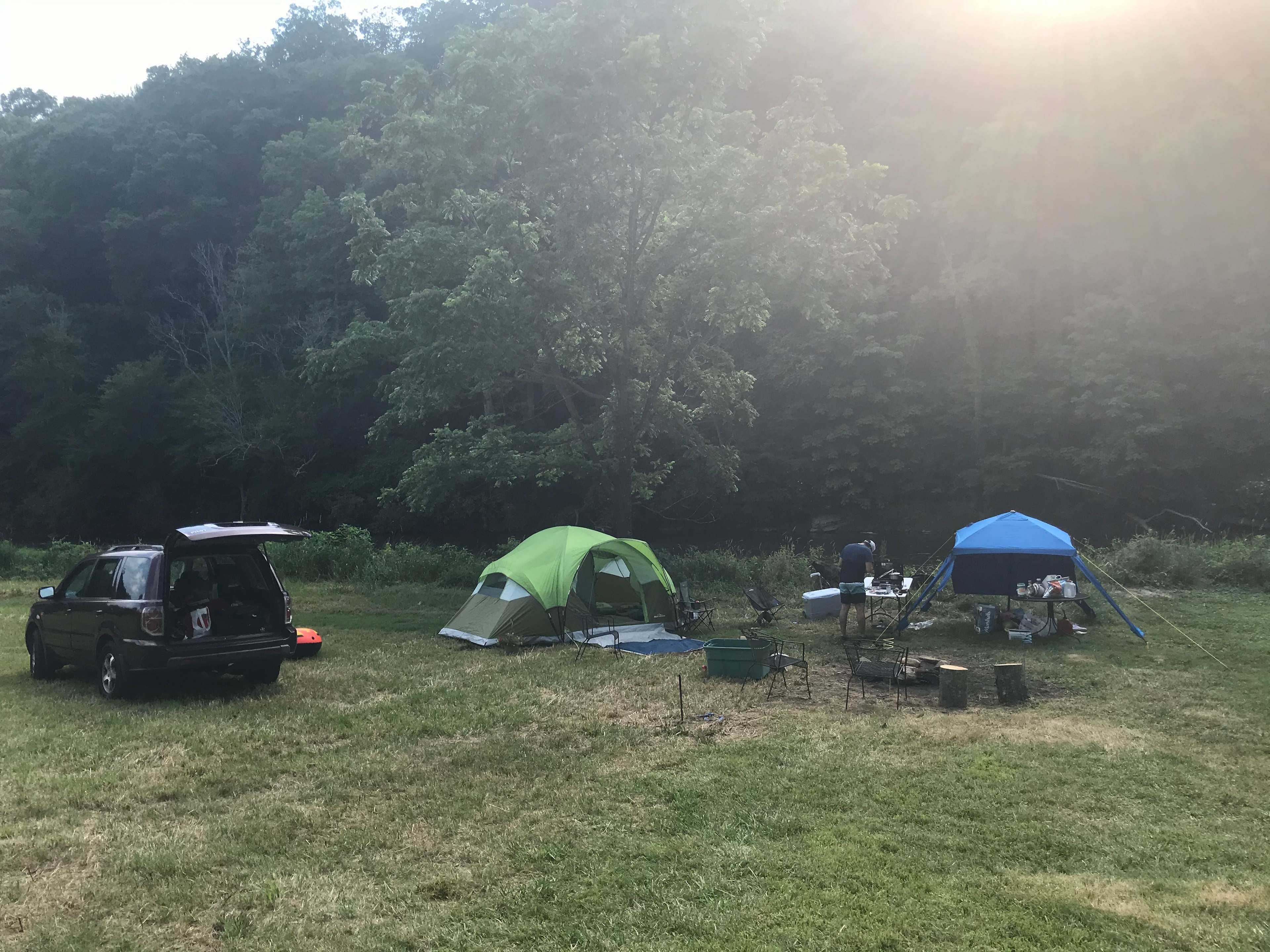 Picture of the site