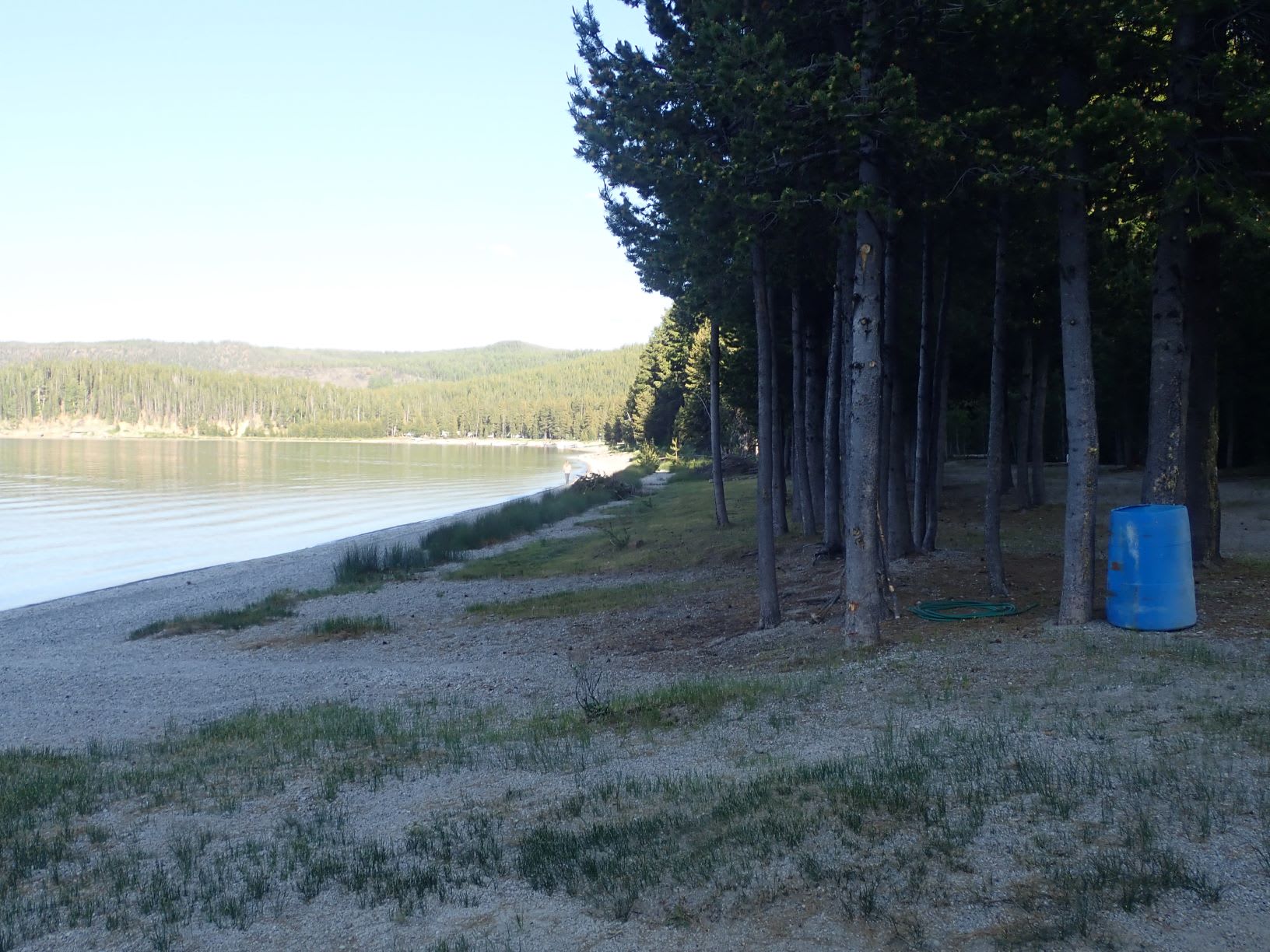 The beach