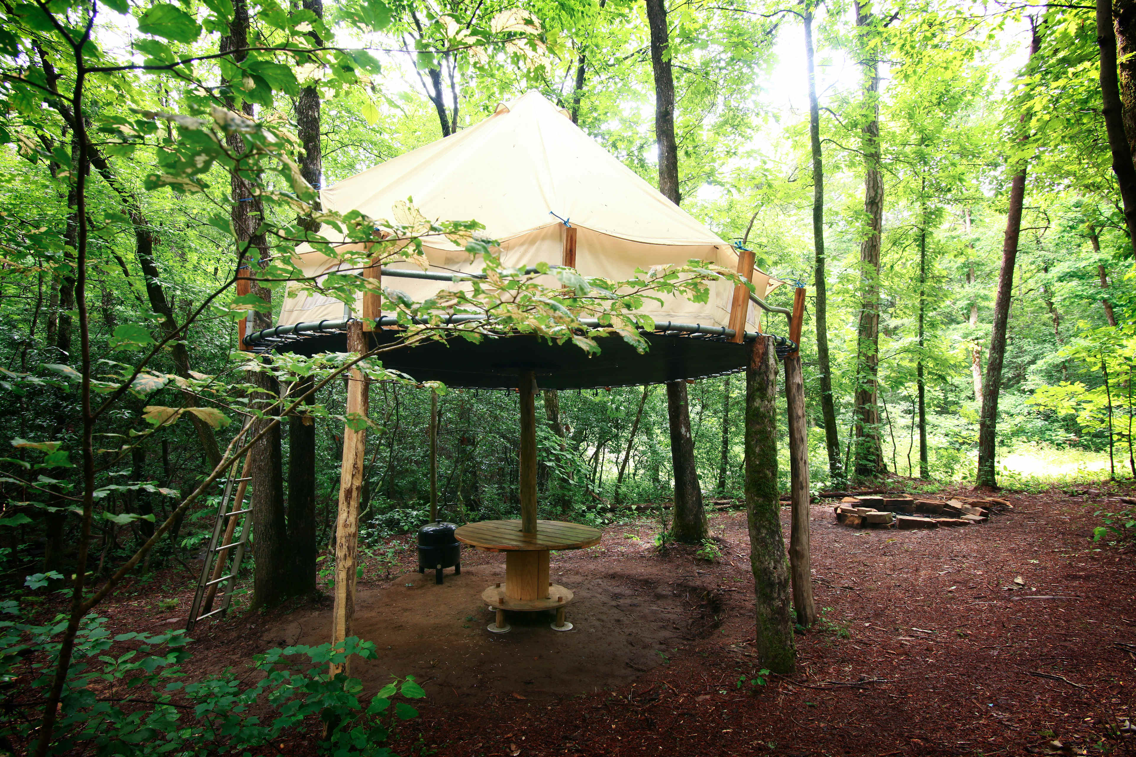Picture of the site