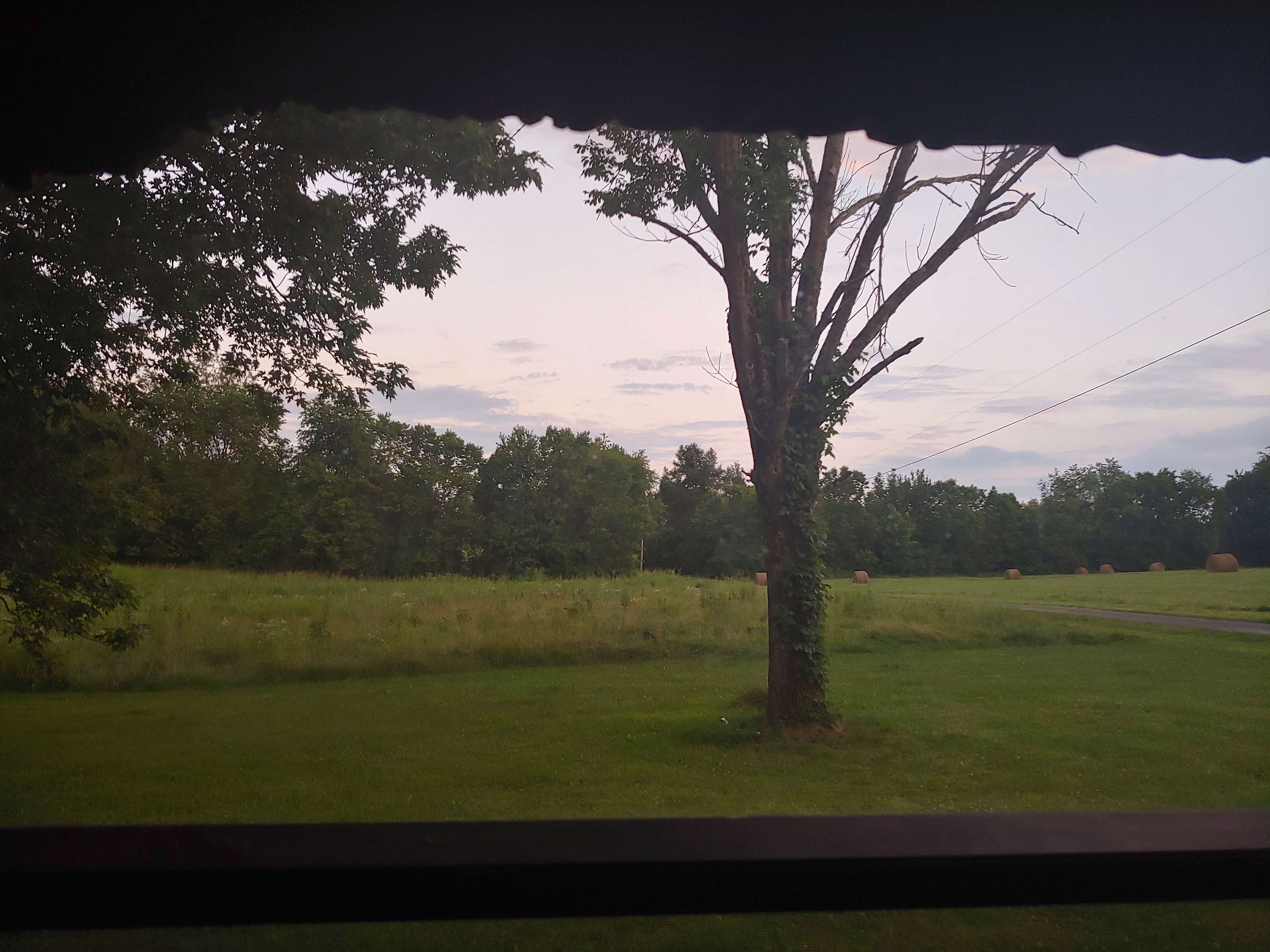 Farm and Forest