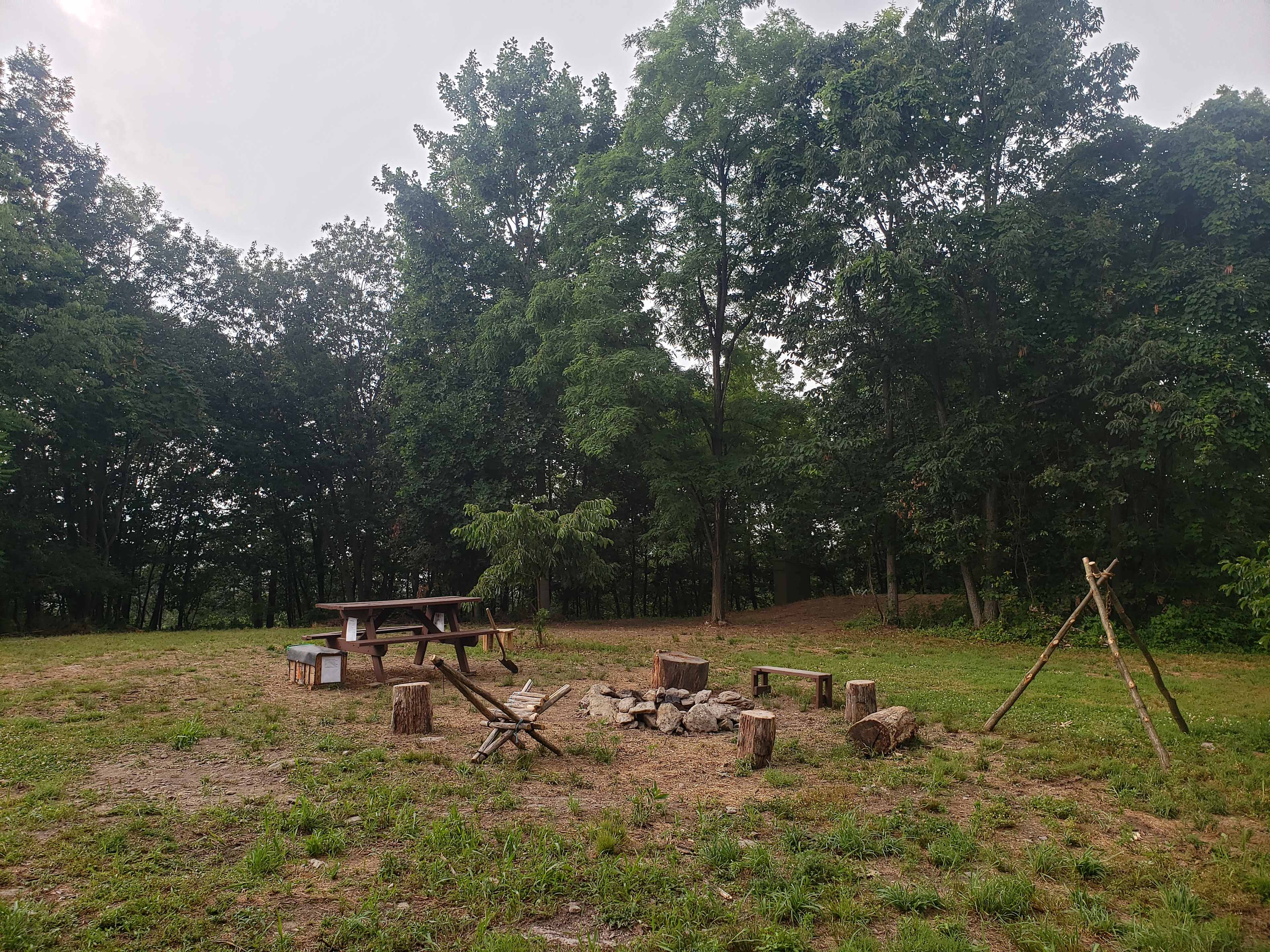 Picture of the site