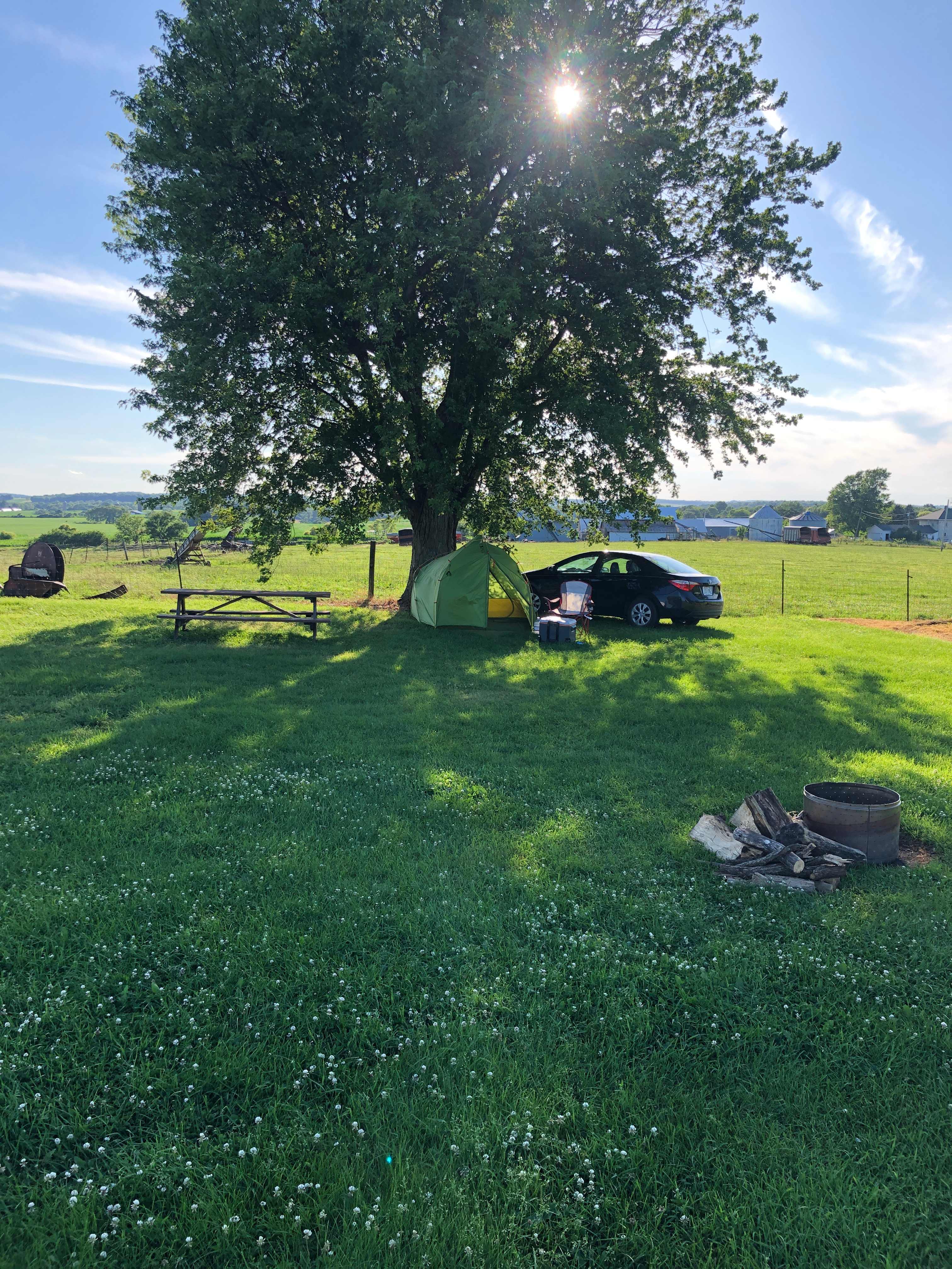 Picture of the site