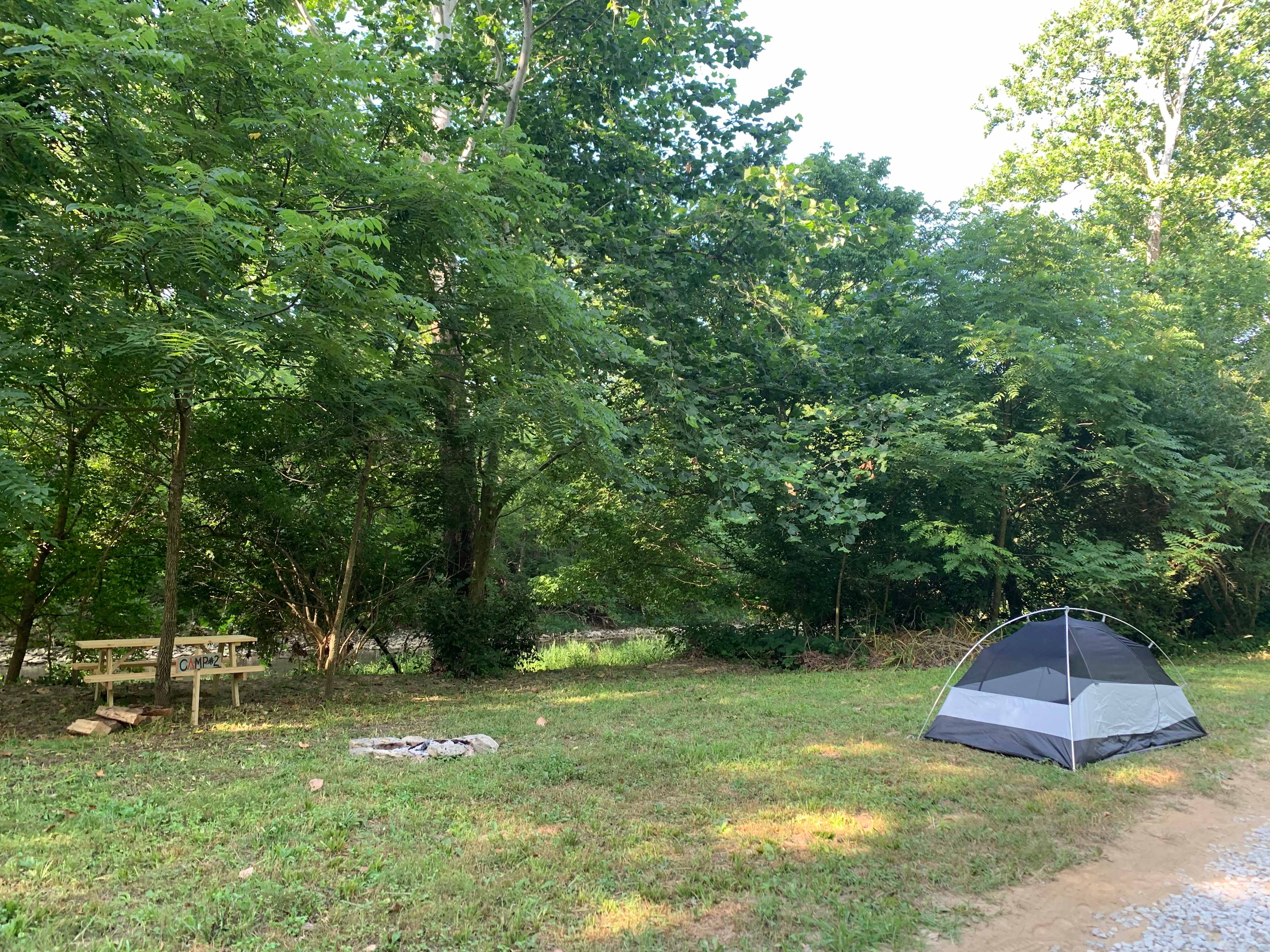 Picture of the site