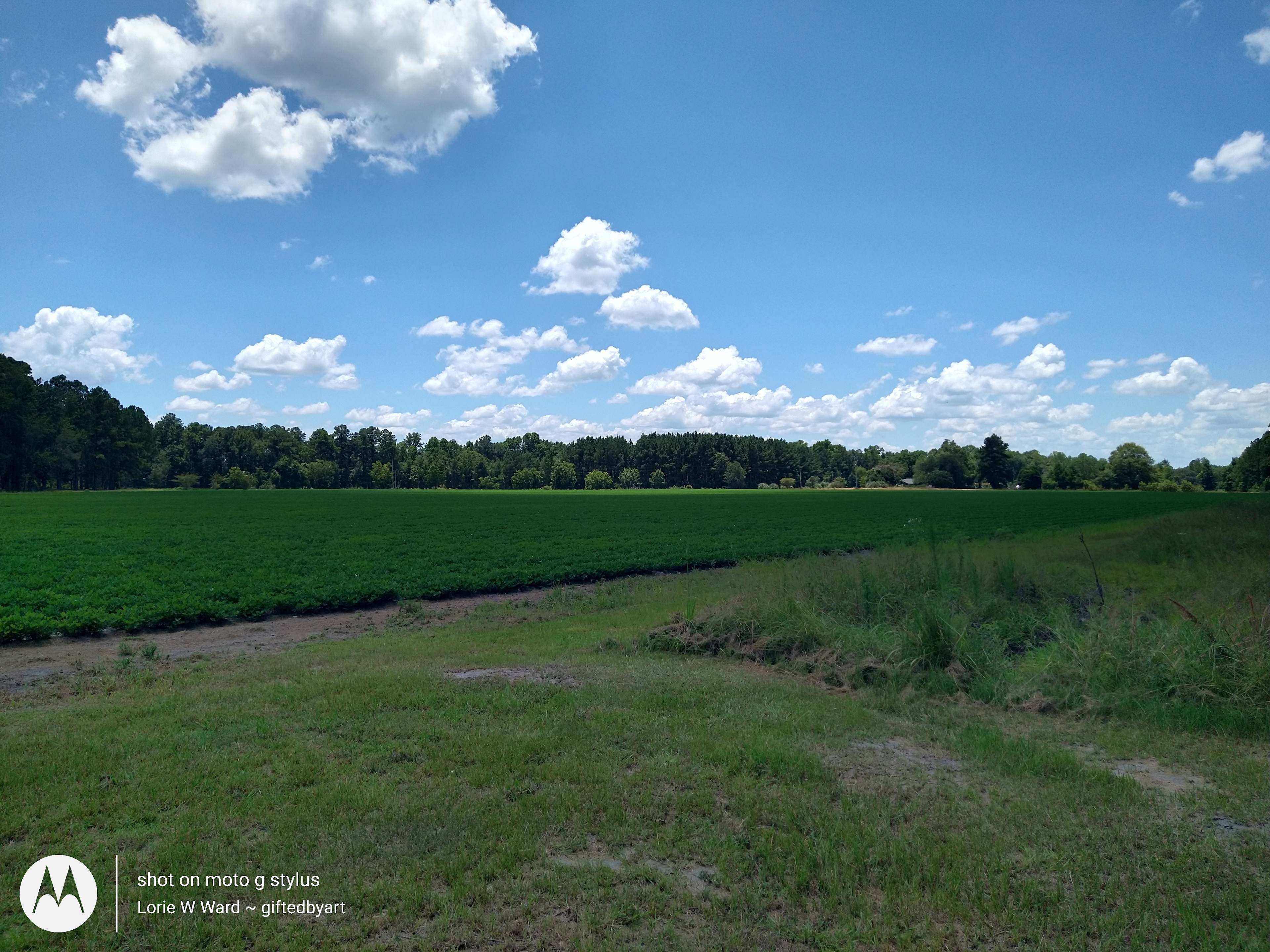 Fields