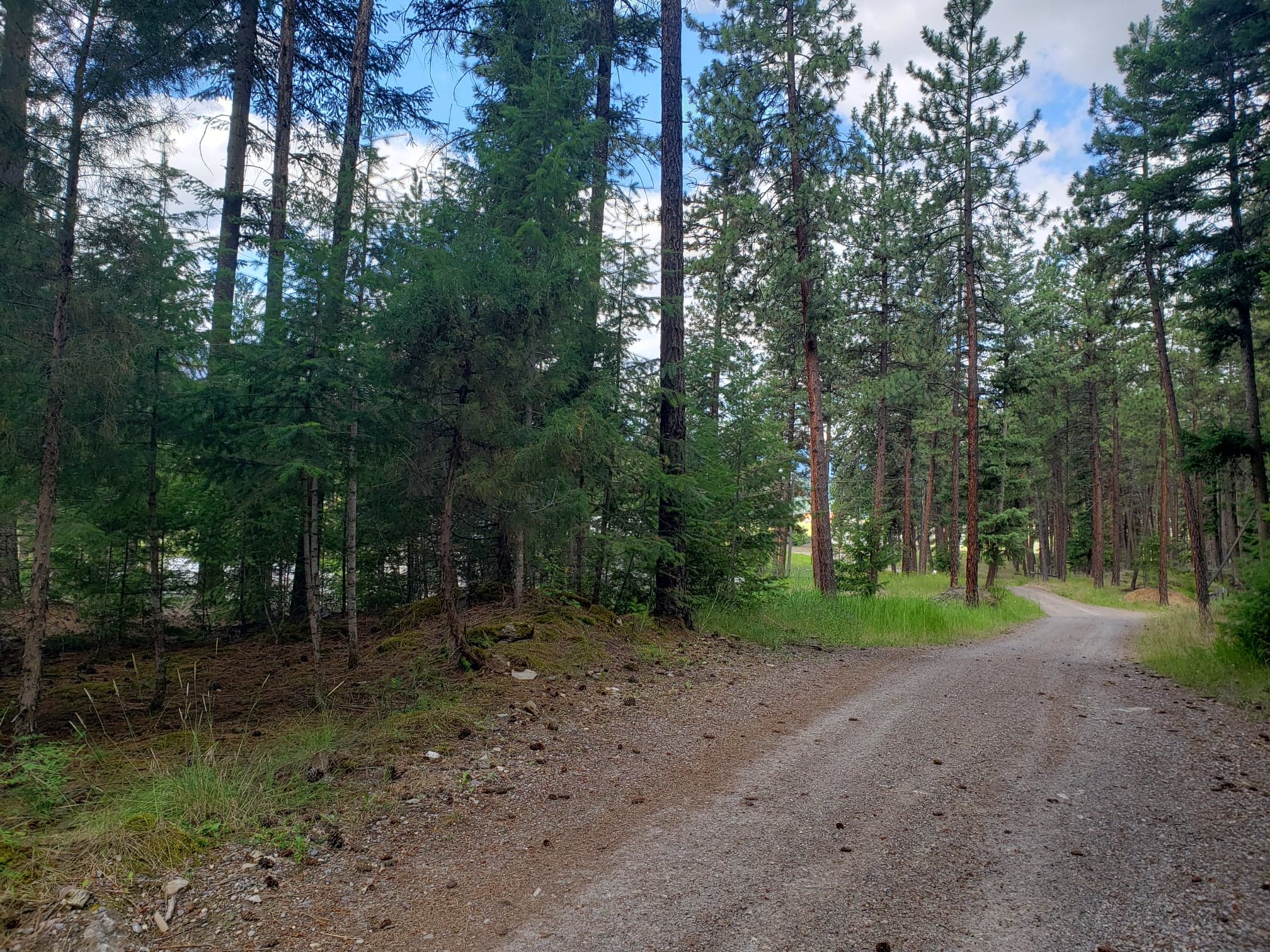 The driveway